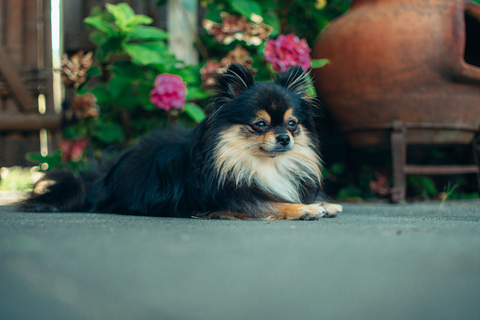 Nikon D3400 sample photo