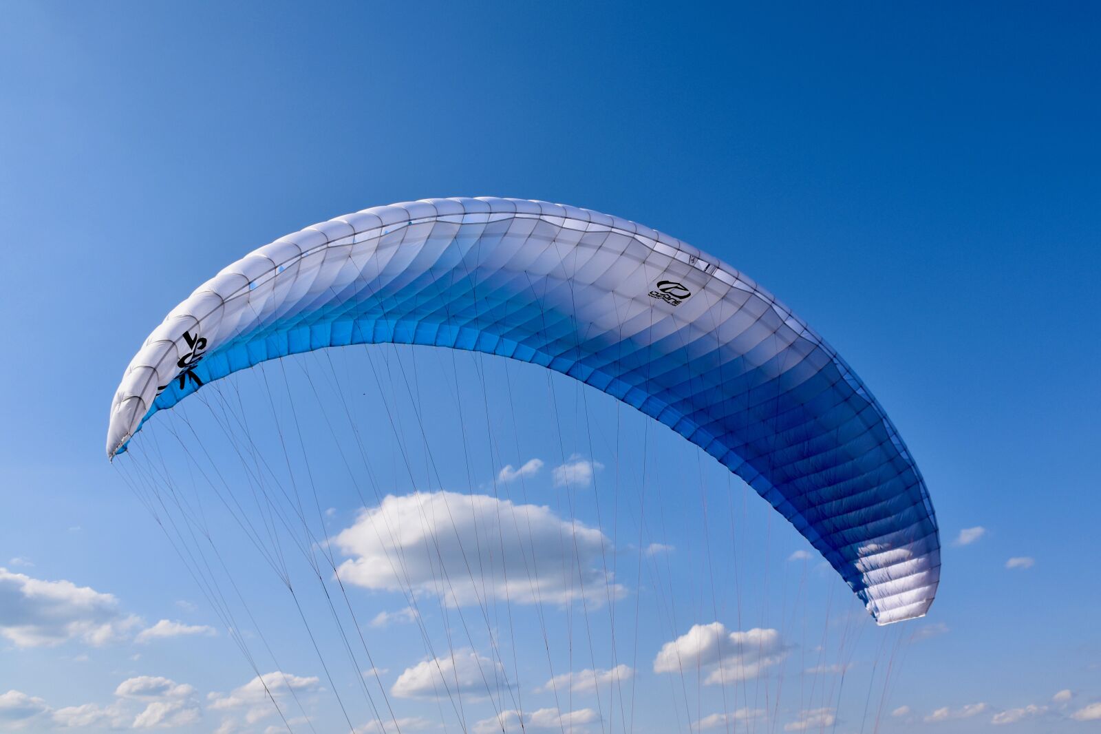 Nikon D5600 sample photo. Paraglider wing, wing blue photography