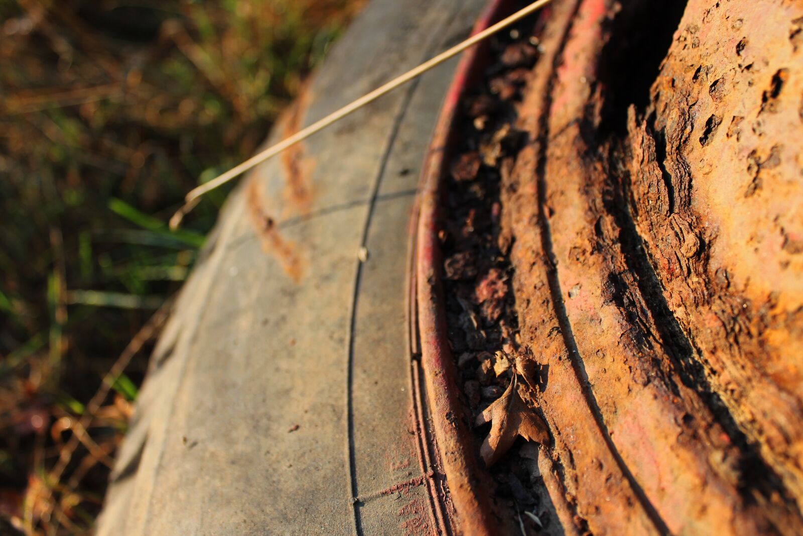 Canon EOS 1100D (EOS Rebel T3 / EOS Kiss X50) sample photo. Rust, wheel, metal photography