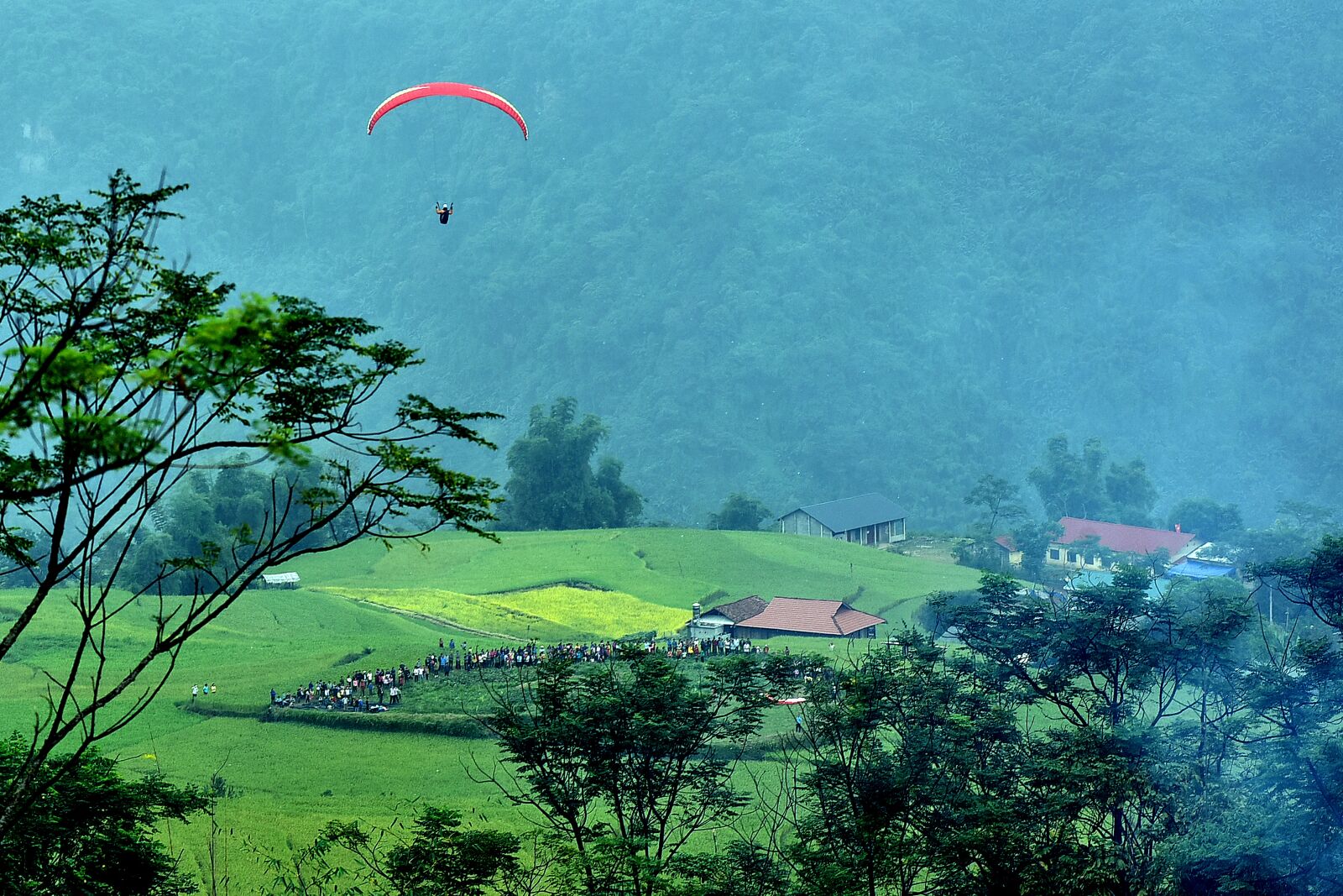 Nikon D810 sample photo. Scenery, paragliding, golden rice photography