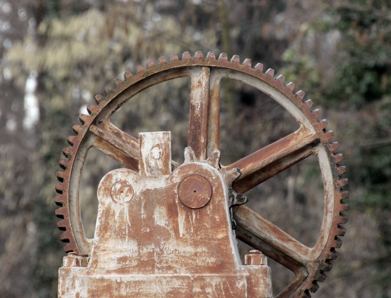 Canon EOS 650D (EOS Rebel T4i / EOS Kiss X6i) sample photo. Gear, metal, lock photography