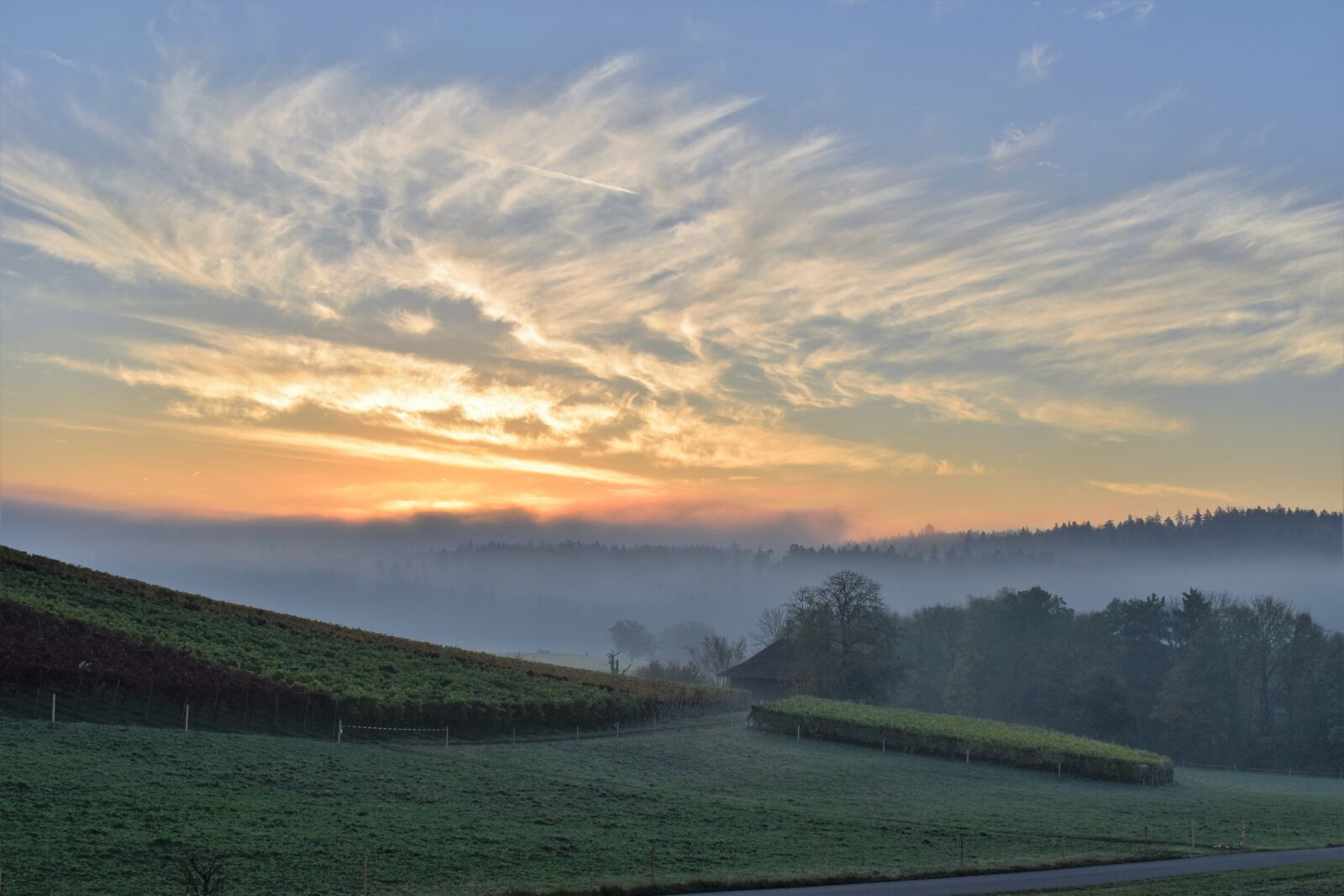 Nikon D5500 sample photo. Landscape, autumn, mood photography