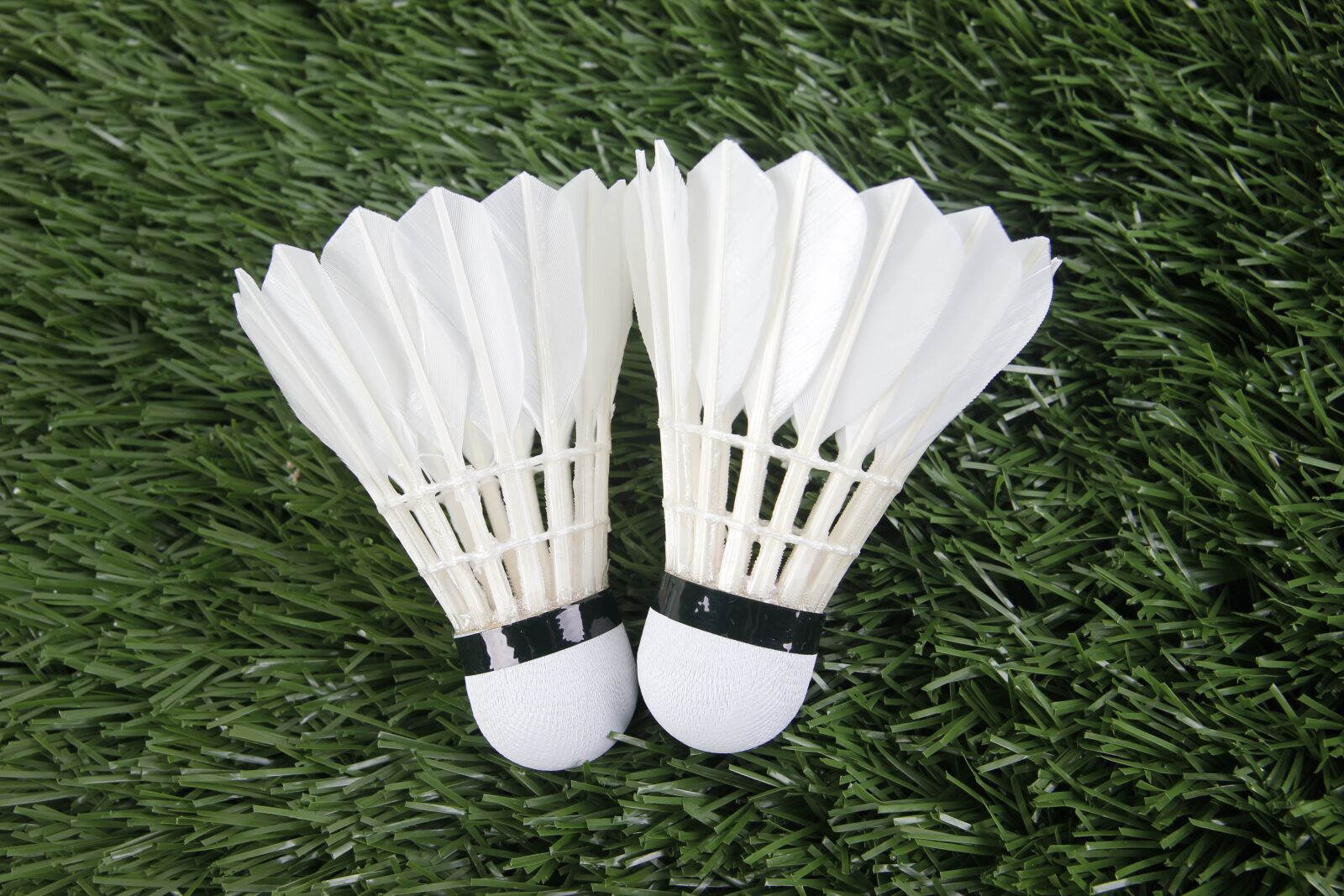Canon EOS 550D (EOS Rebel T2i / EOS Kiss X4) sample photo. Badminton, sport, shuttlecock photography