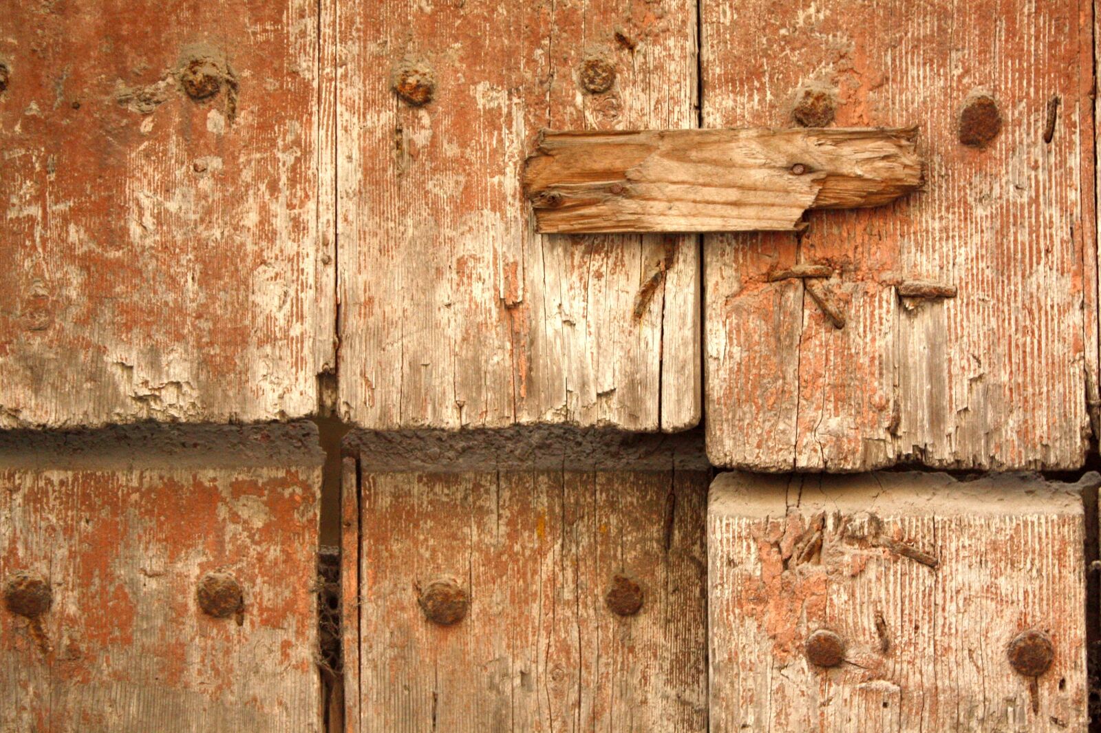 Canon EOS 450D (EOS Rebel XSi / EOS Kiss X2) sample photo. Wood, texture, wooden photography