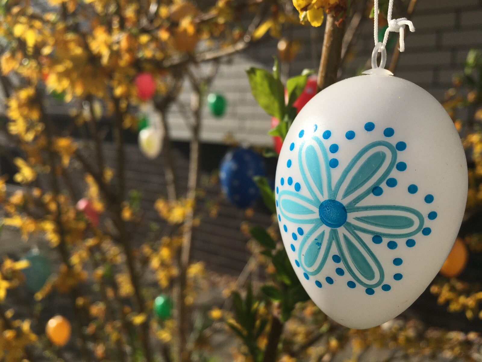 Apple iPhone 6s sample photo. Easter egg, easter, easter photography
