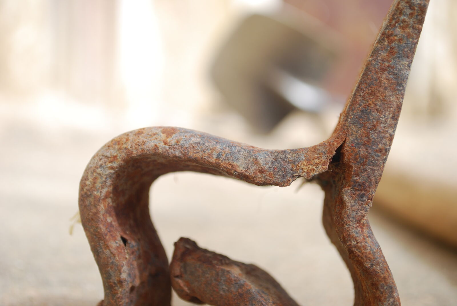Nikon D60 sample photo