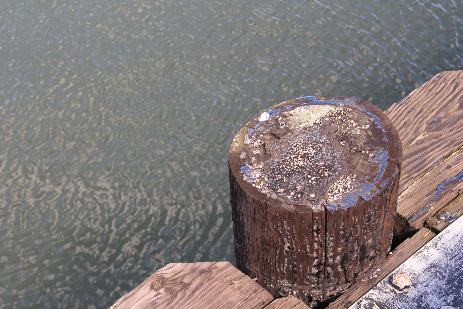 Canon EF 28-135mm F3.5-5.6 IS USM sample photo