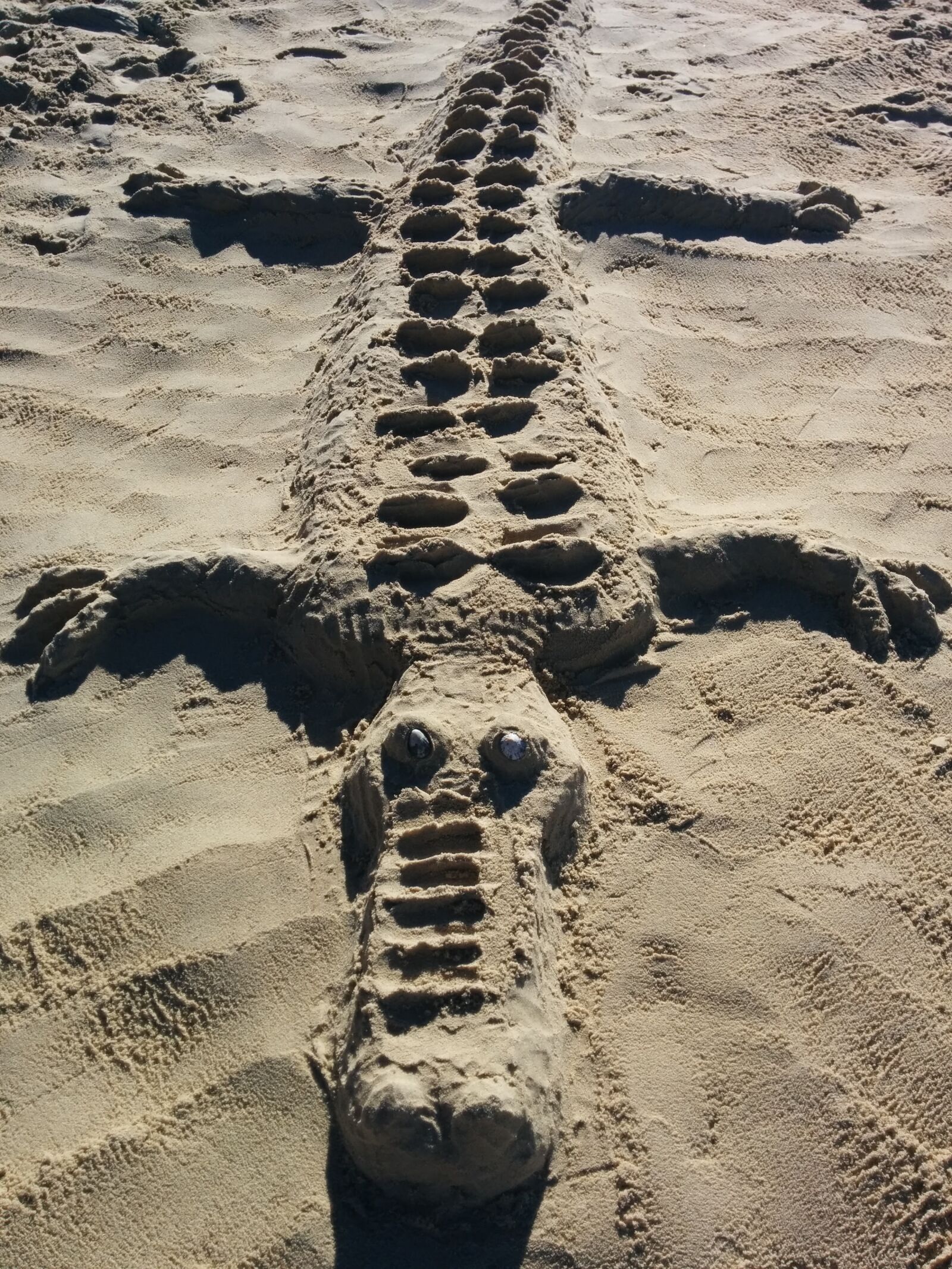 LG Nexus 5 sample photo. Crocodile, sand photography