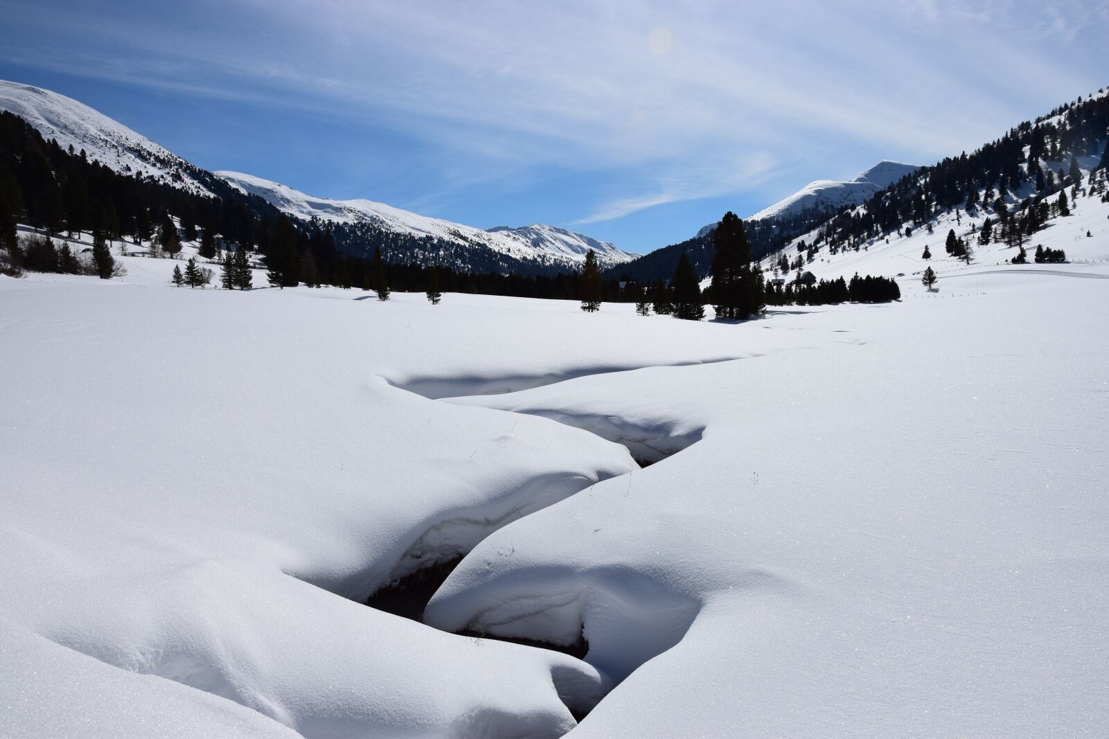Nikon D3300 sample photo. Snow, winter, cold photography