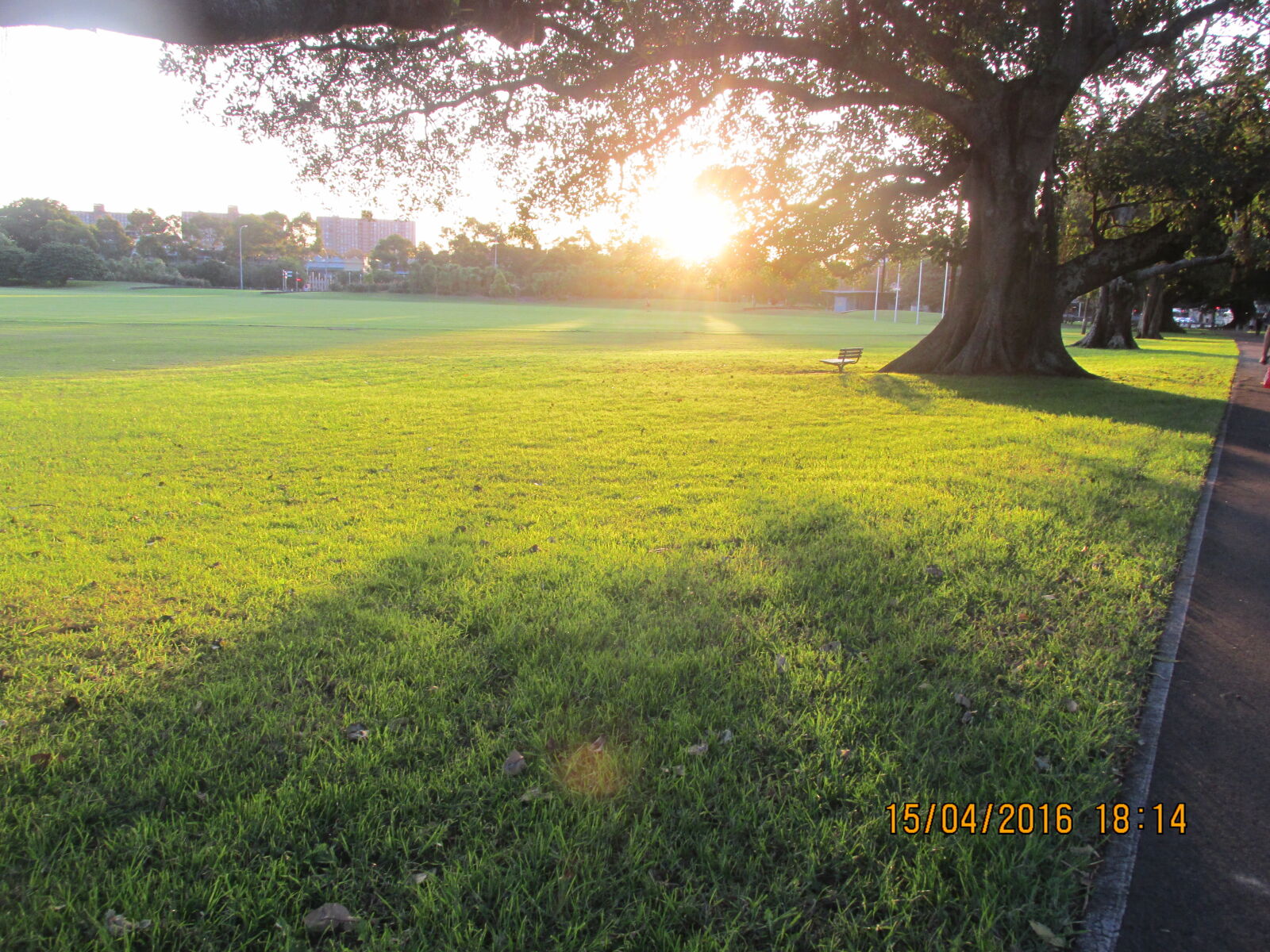 Canon PowerShot SX170 IS sample photo. Scenic, view, of, field photography