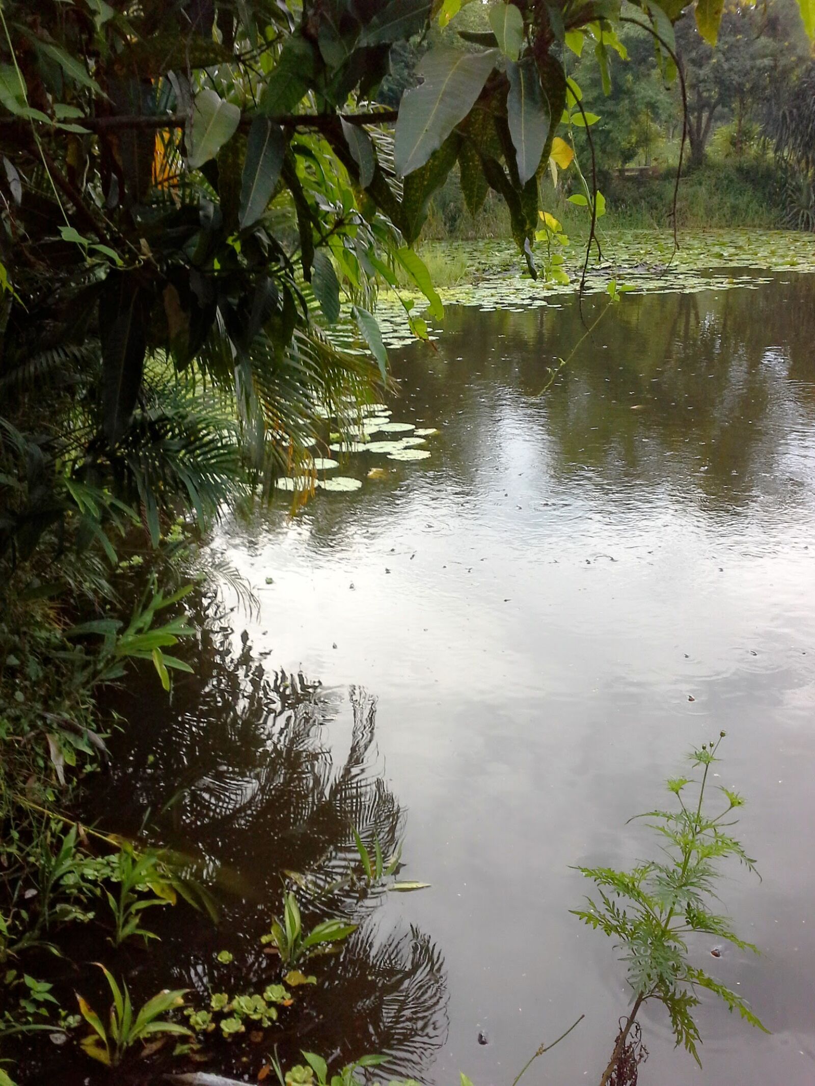 Samsung Galaxy Note 10.1 sample photo