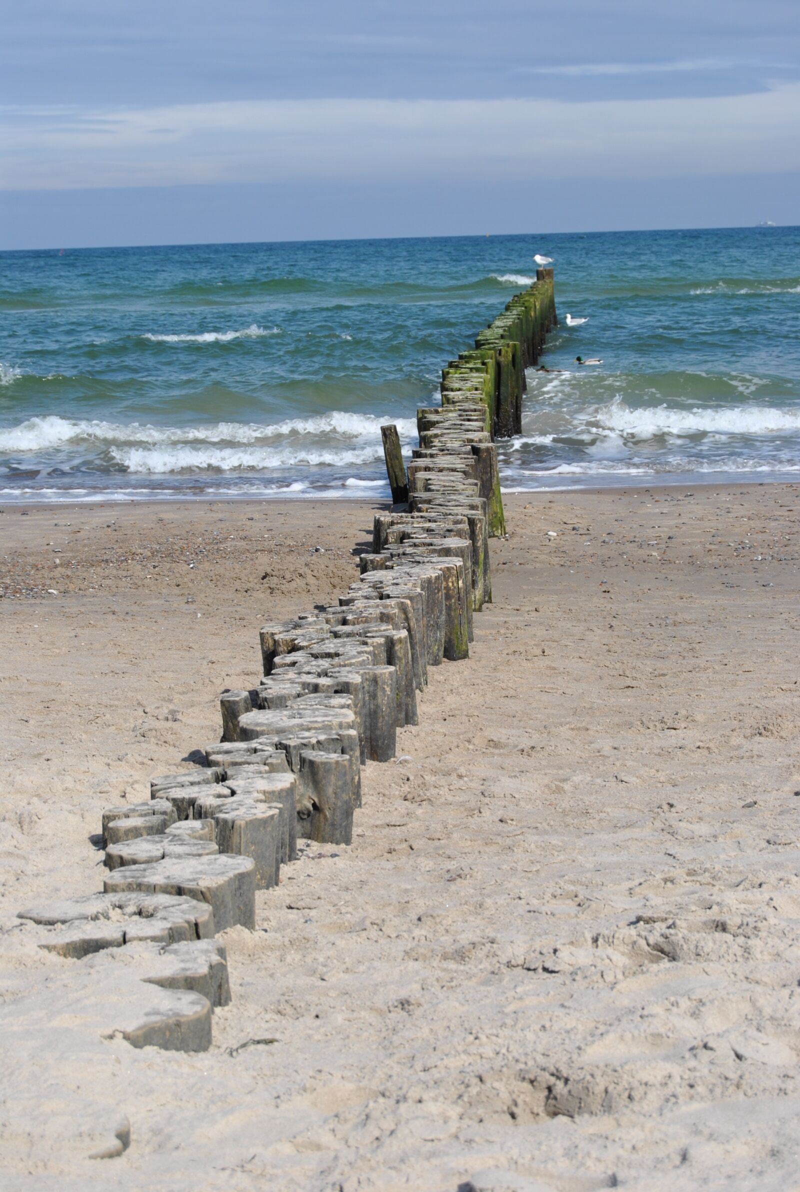 Nikon D3000 sample photo. Sea, beach, coast photography