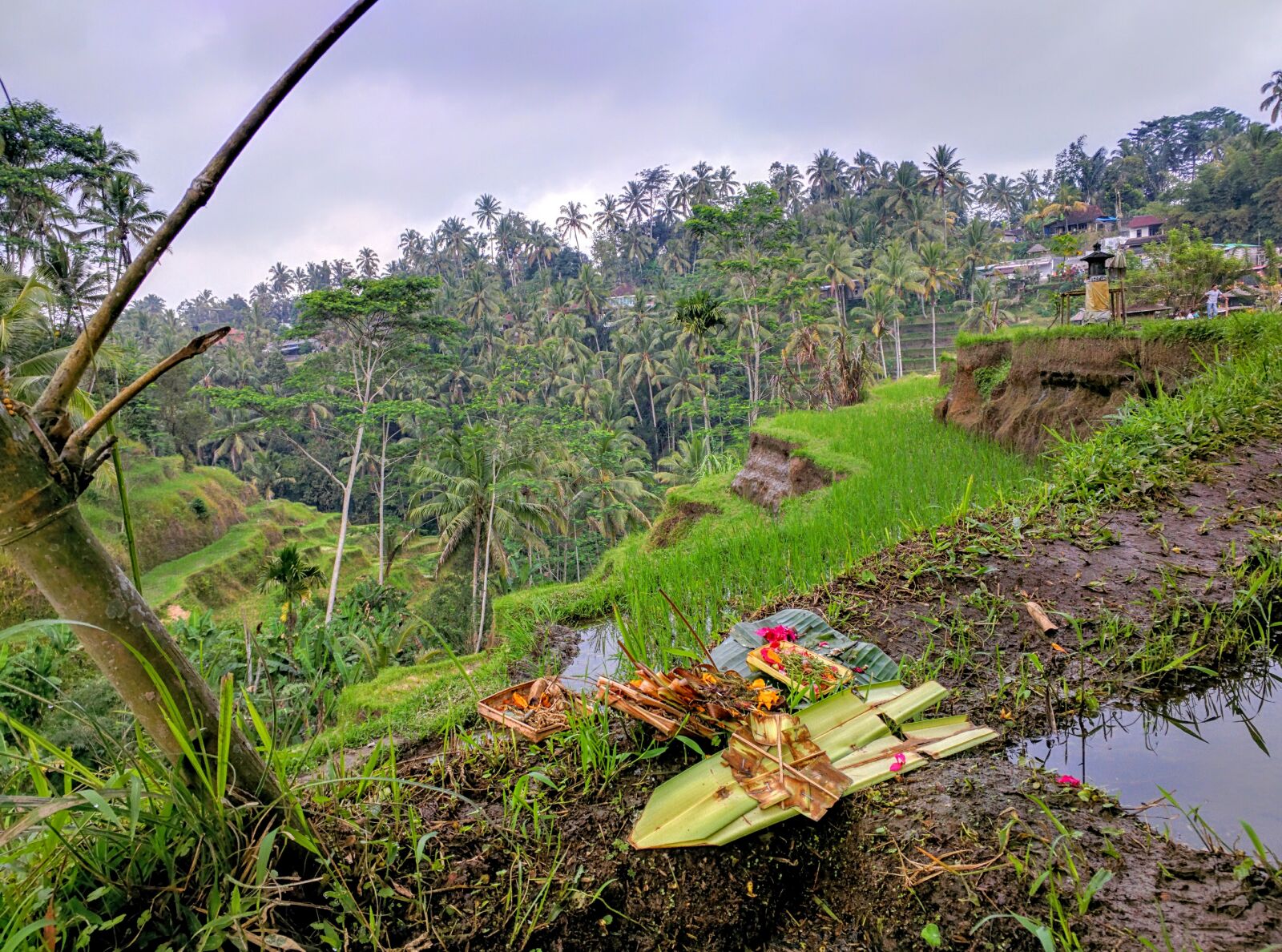 Motorola Nexus 6 sample photo. Bali, god, green, offerings photography