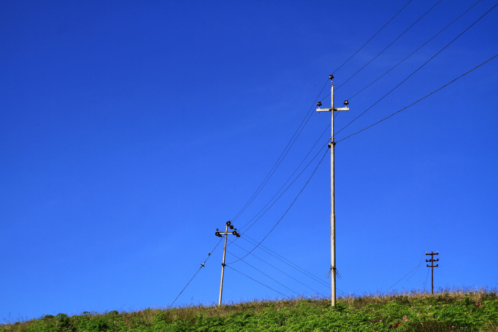 Canon EOS 7D + Sigma 17-70mm F2.8-4 DC Macro OS HSM | C sample photo. Blue, blue, sky, cable photography