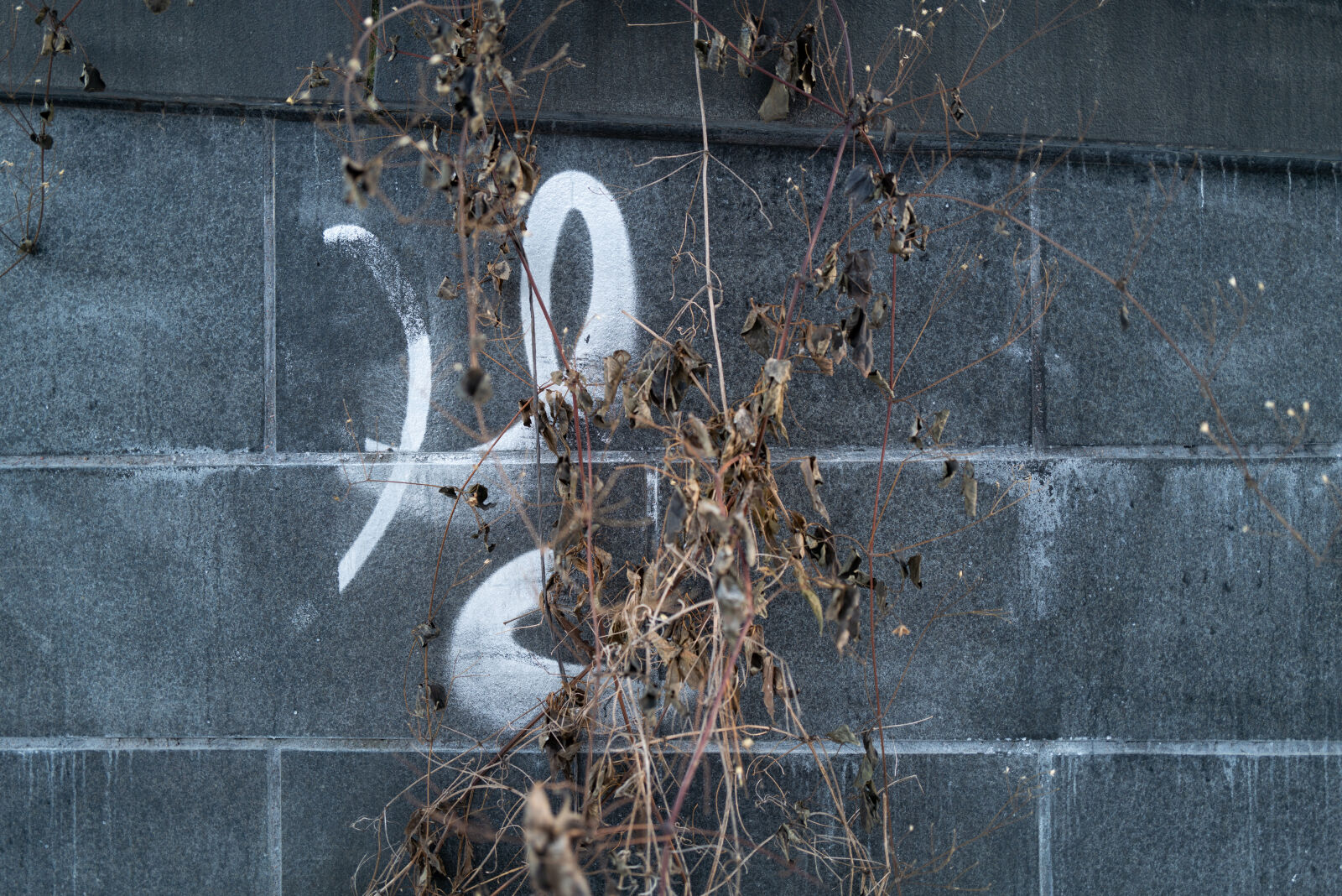 SUMMILUX 1:1.7/28 ASPH. sample photo. Decay of the last photography