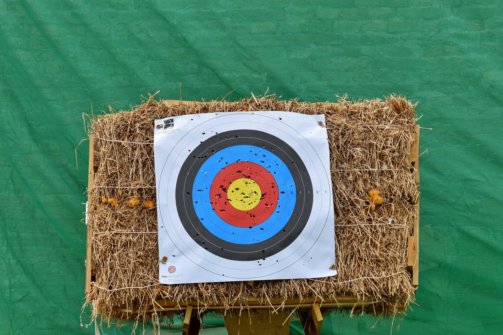 Nikon D5500 sample photo. Archery, practice, sport, target photography