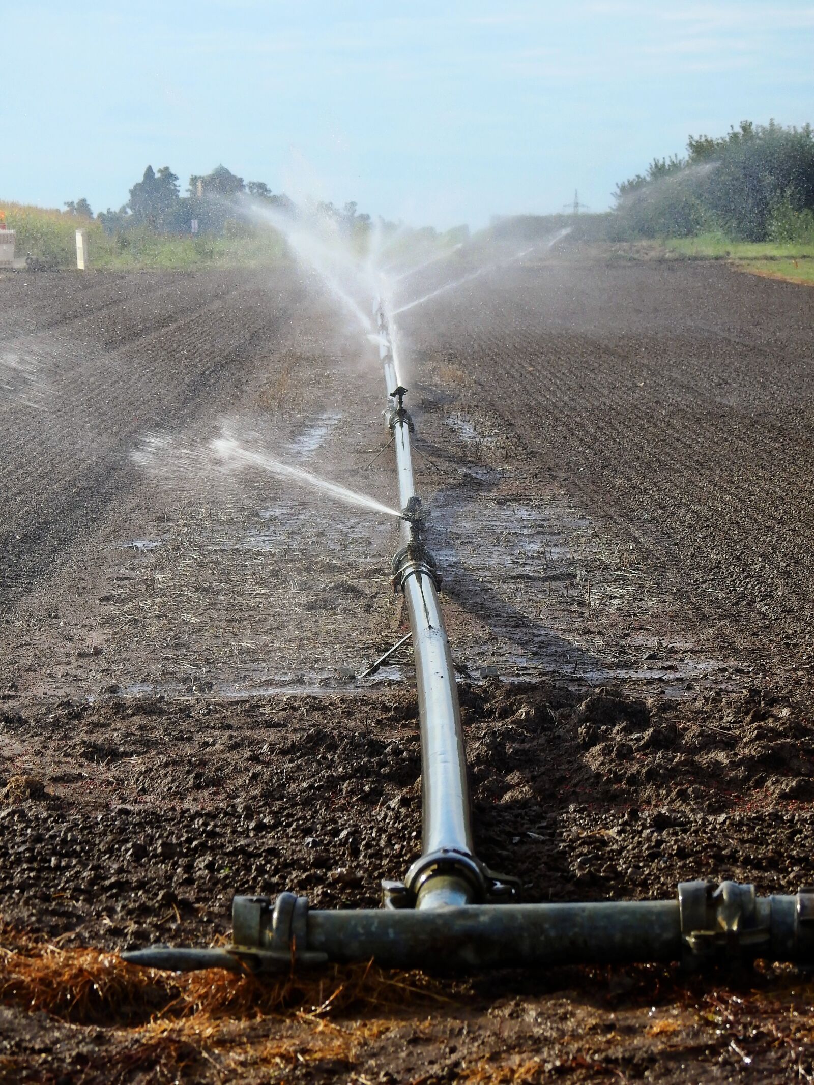 Nikon Coolpix P900 sample photo. Field, arable, agriculture photography
