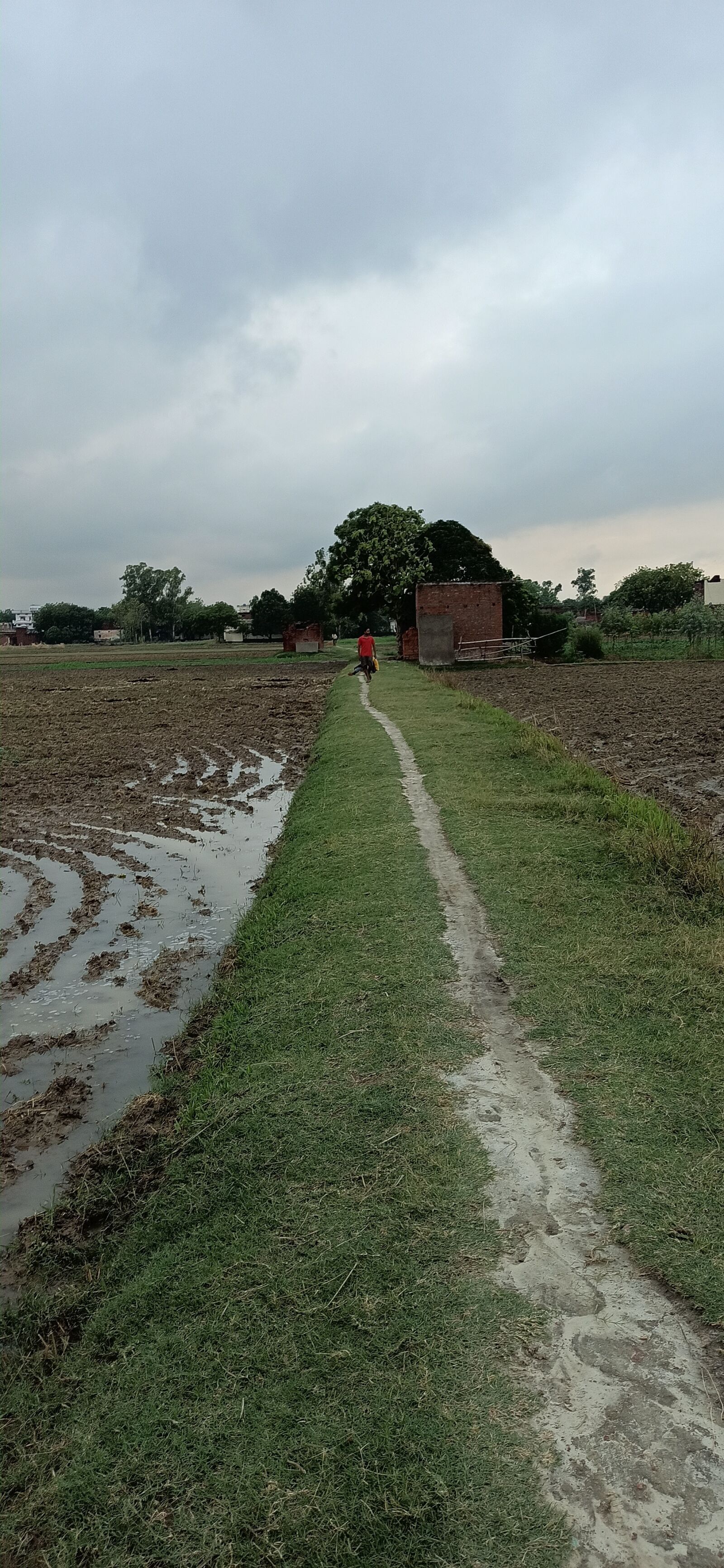 Xiaomi Redmi Note 8 Pro sample photo. Indian, village, roads photography