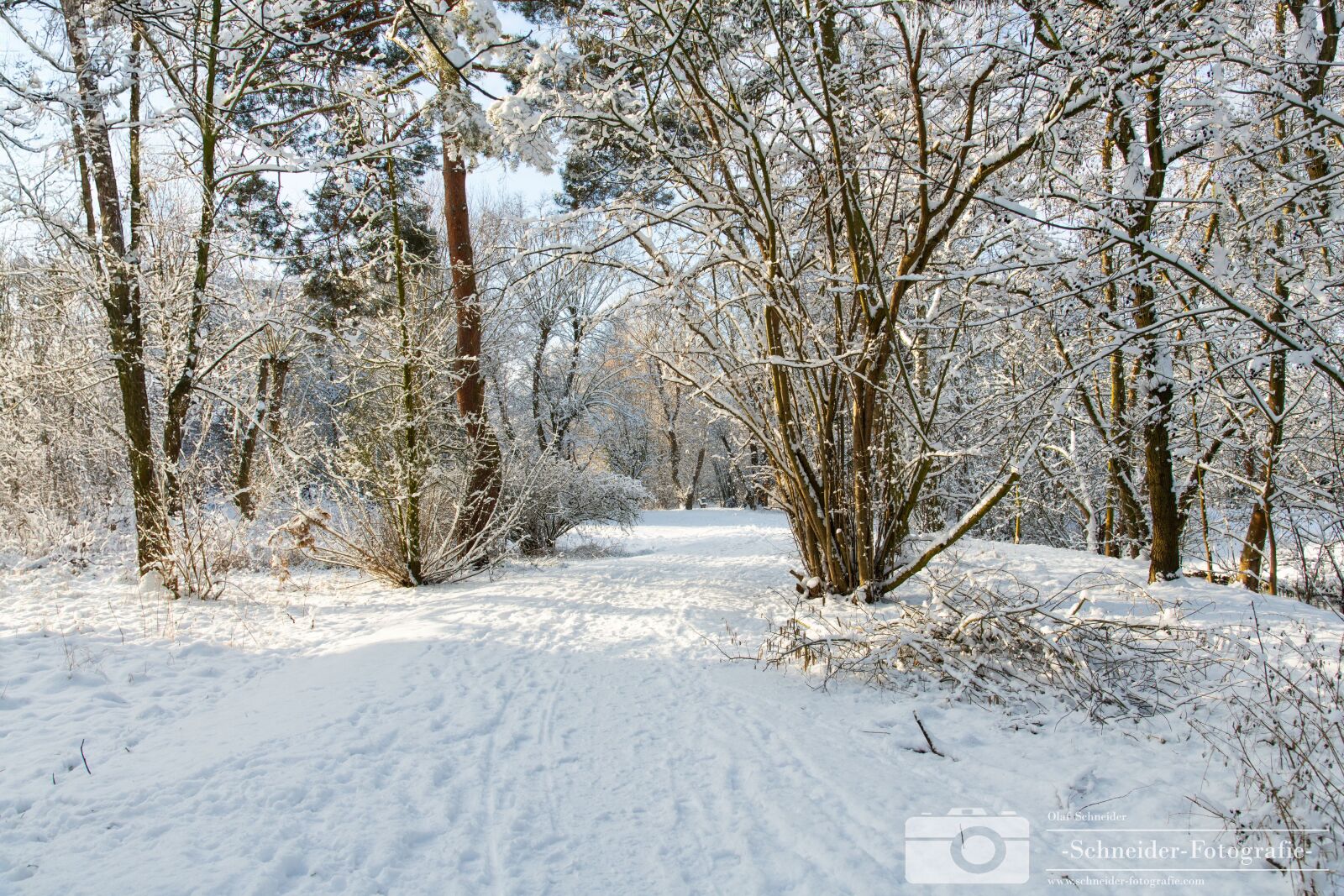 Nikon D850 sample photo. Winter in berlin- rudow photography