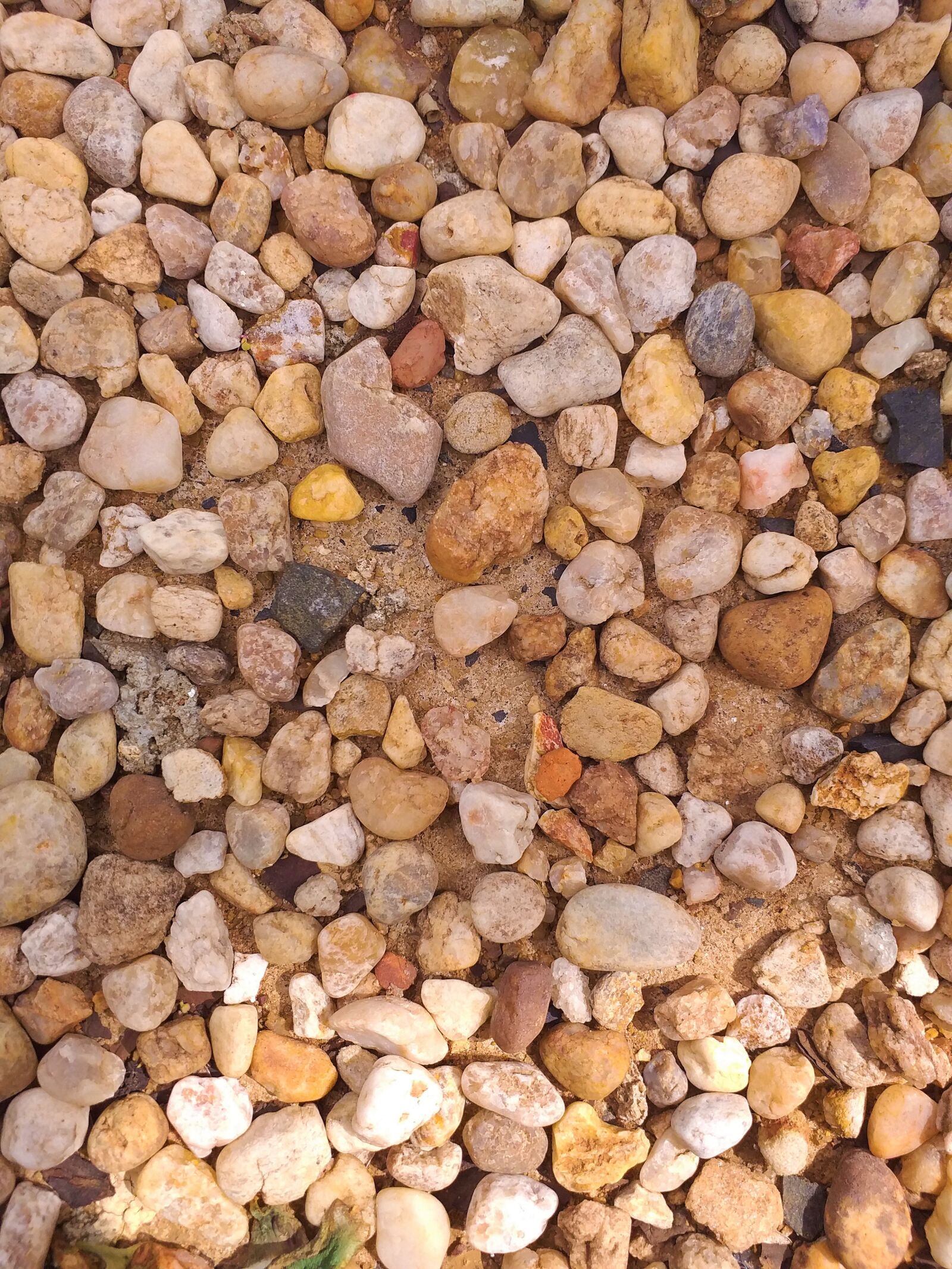 Samsung Galaxy J6+ sample photo. Stones, floor, nature photography