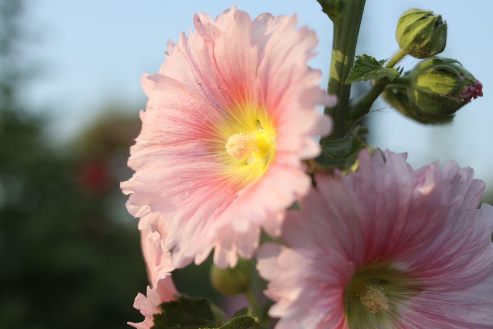 Canon EOS 50D sample photo. Figure, along the way photography