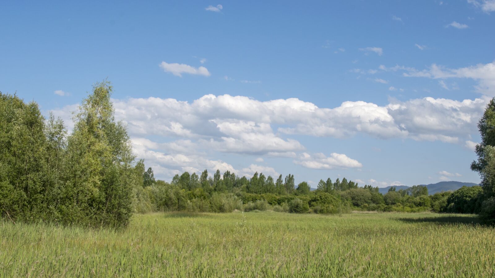 Nikon D5300 sample photo. Landscape, clouds, sky photography