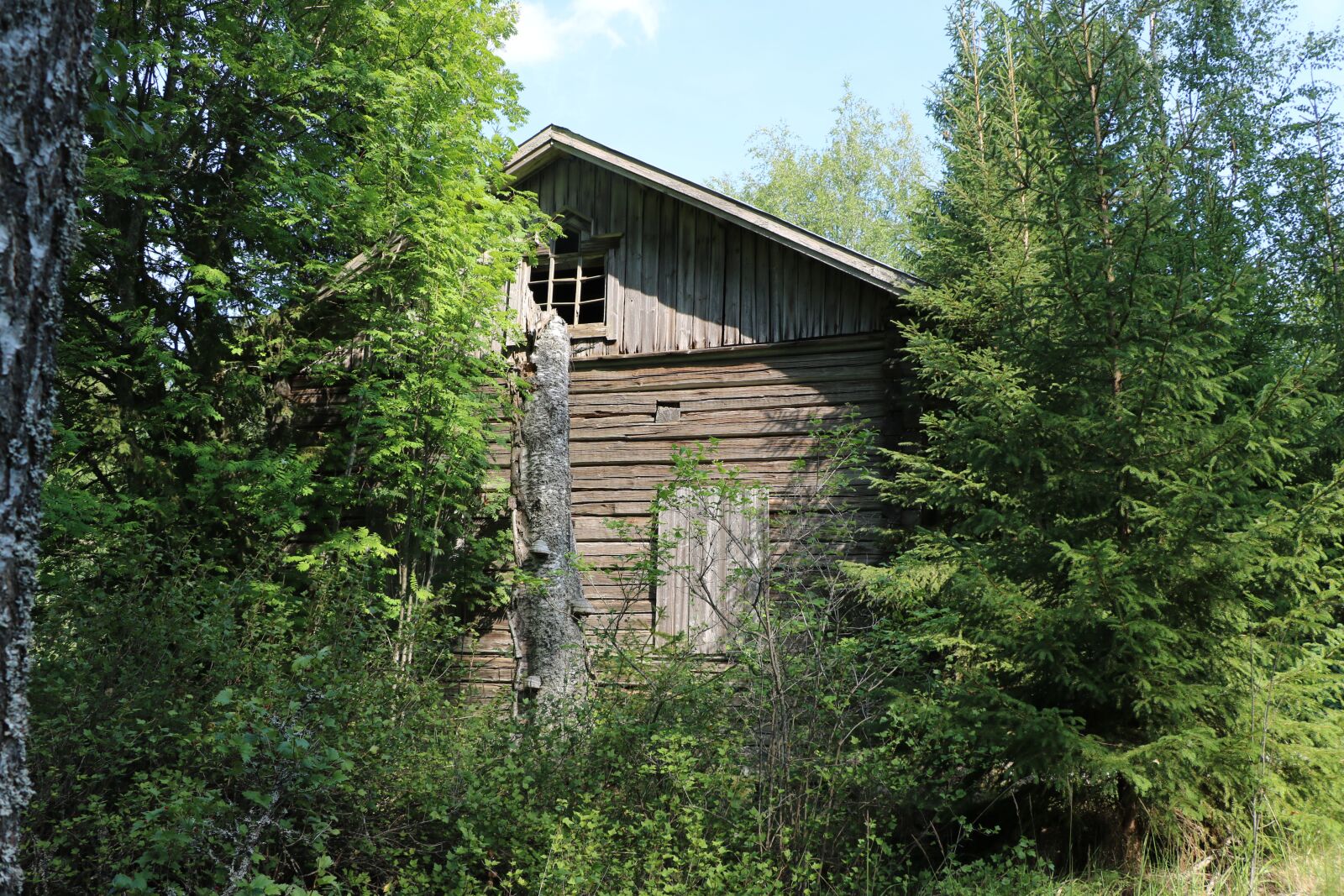 Canon EOS 750D (EOS Rebel T6i / EOS Kiss X8i) sample photo. Summer, the old house photography