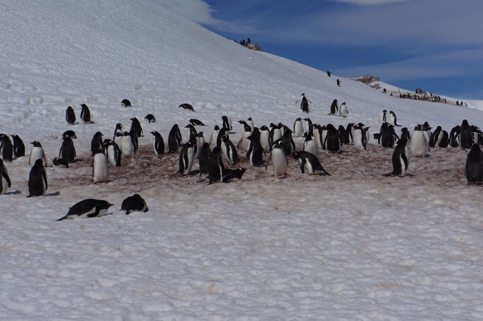 Sony Alpha NEX-5N sample photo. Antarctica, glacier, iceberg photography