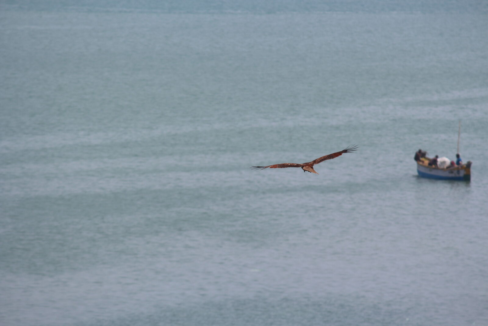 Canon EOS 700D (EOS Rebel T5i / EOS Kiss X7i) sample photo. Boat, indian, sea, tamilnadu photography