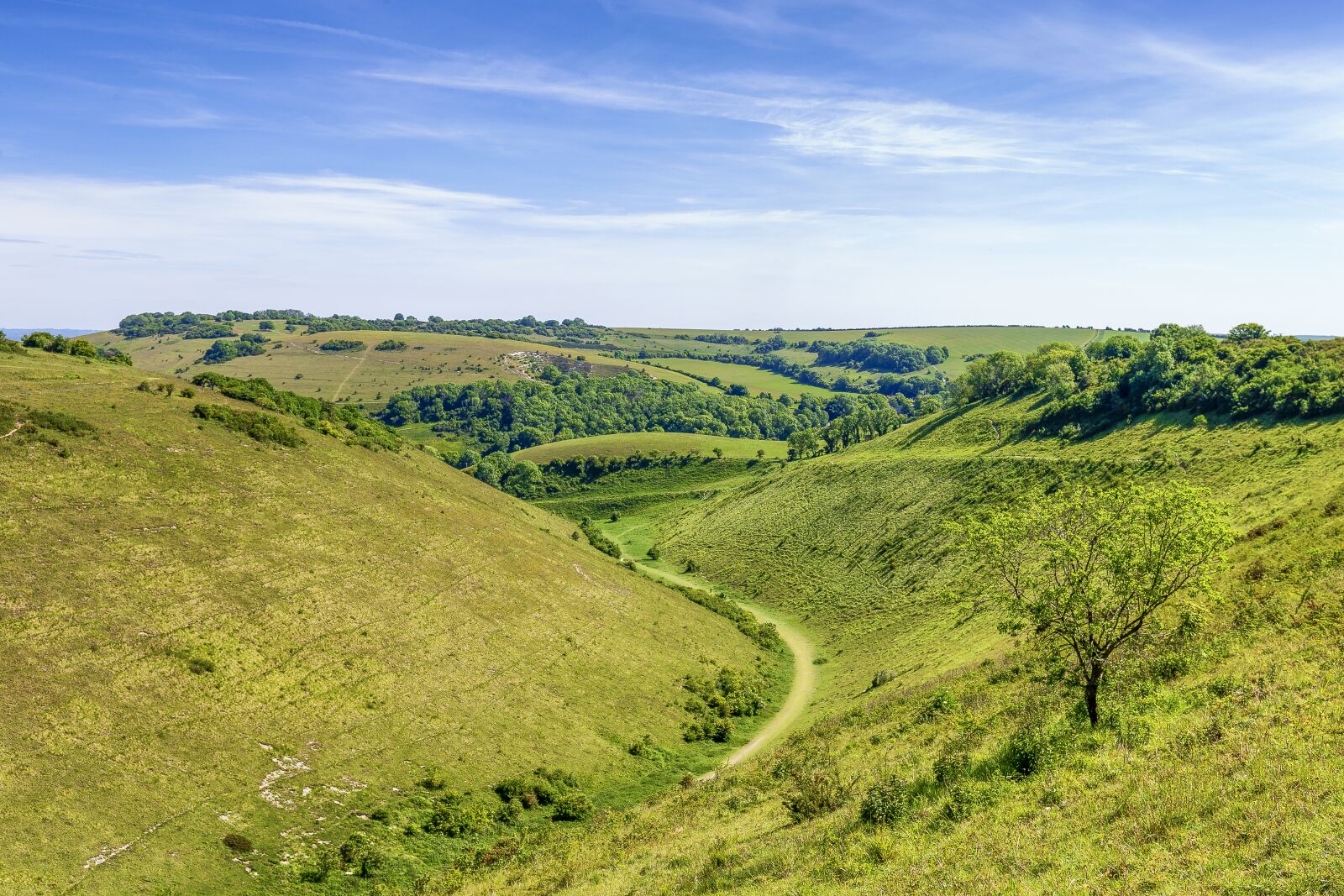 Canon EOS 6D + Canon EF 16-35mm F4L IS USM sample photo. Devils dyke, sussex, england photography