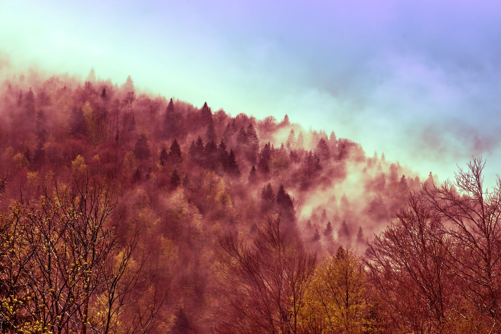 Canon EOS 80D sample photo. Kupres mountain, bosnia and photography