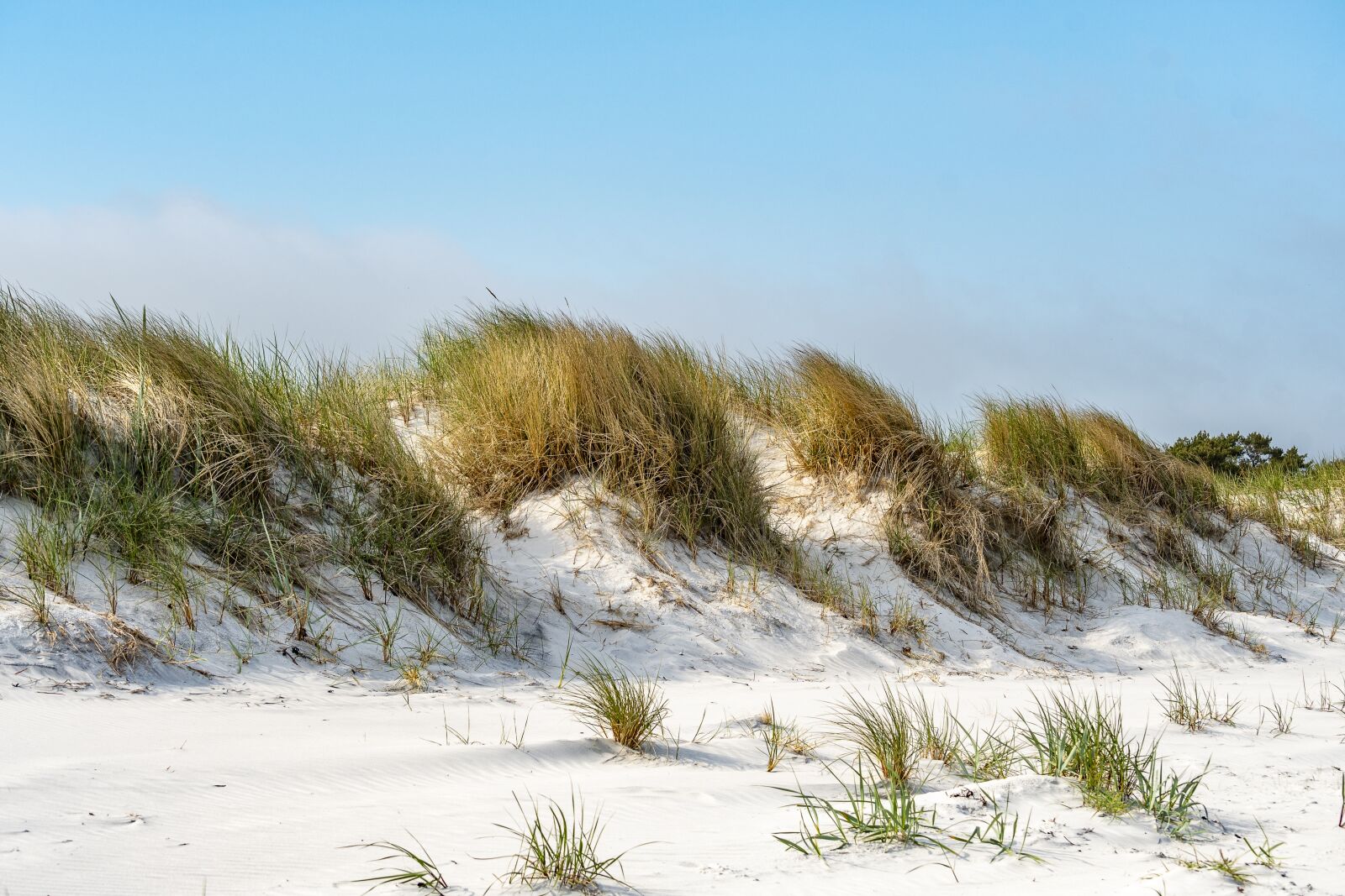 Nikon D500 sample photo. Beautiful beach, dunes, landscape photography