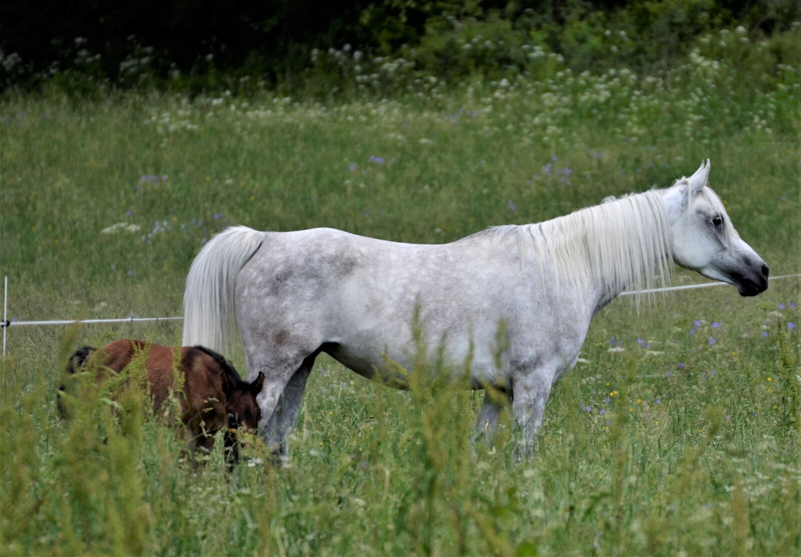 Nikon D5100 sample photo. Main and state stud photography