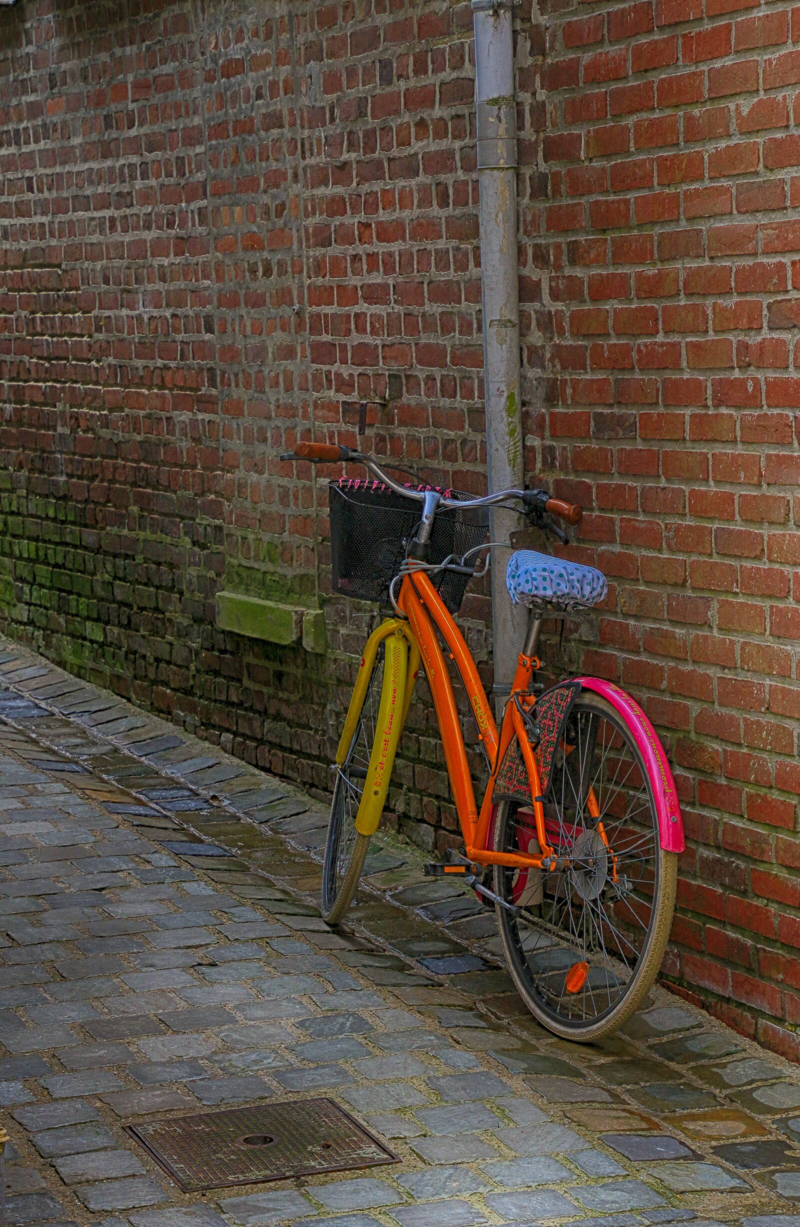 Canon EOS 70D sample photo. Bike, multicolor, lane photography