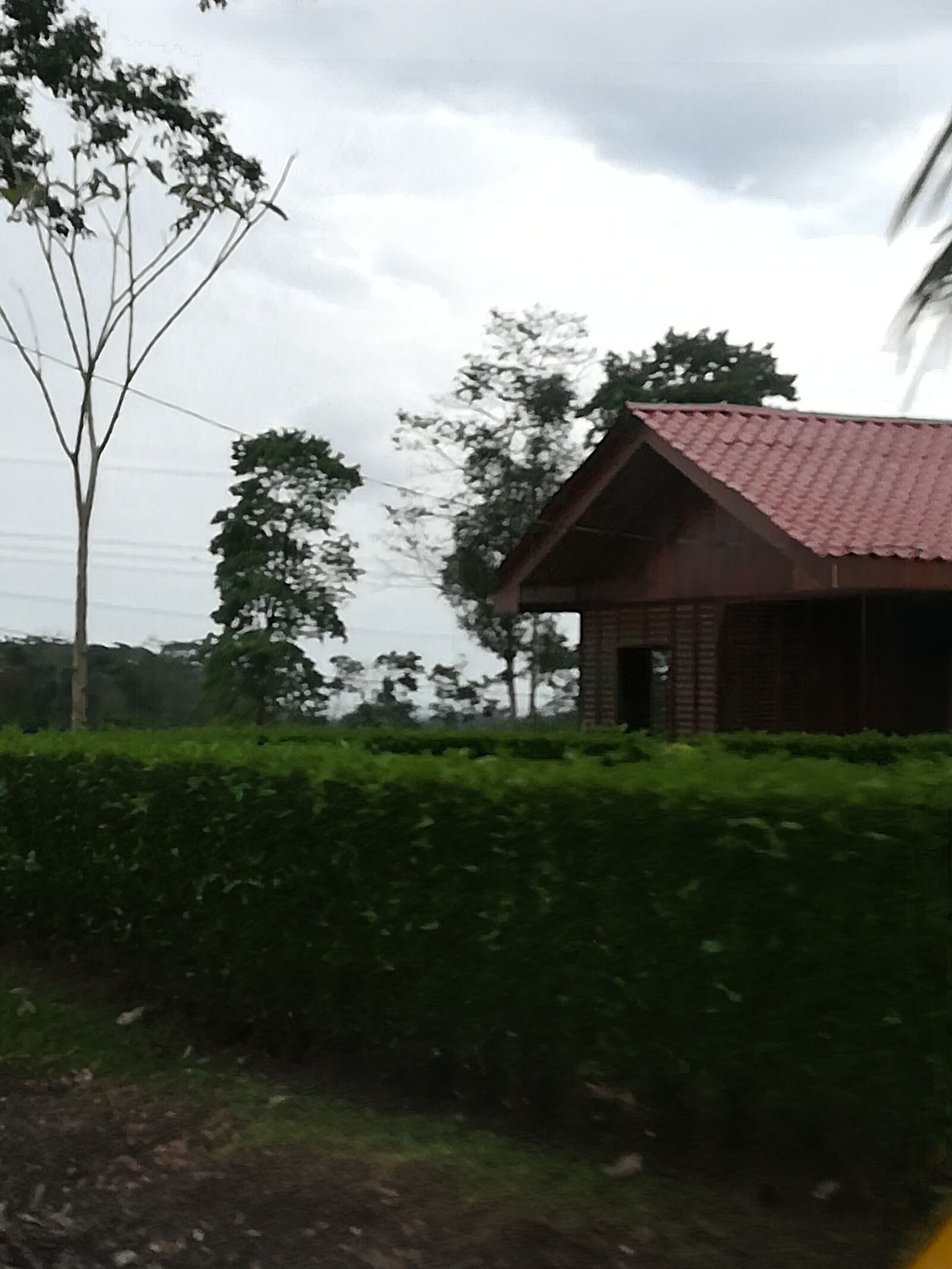 HUAWEI P10 lite sample photo. People, rural, field photography