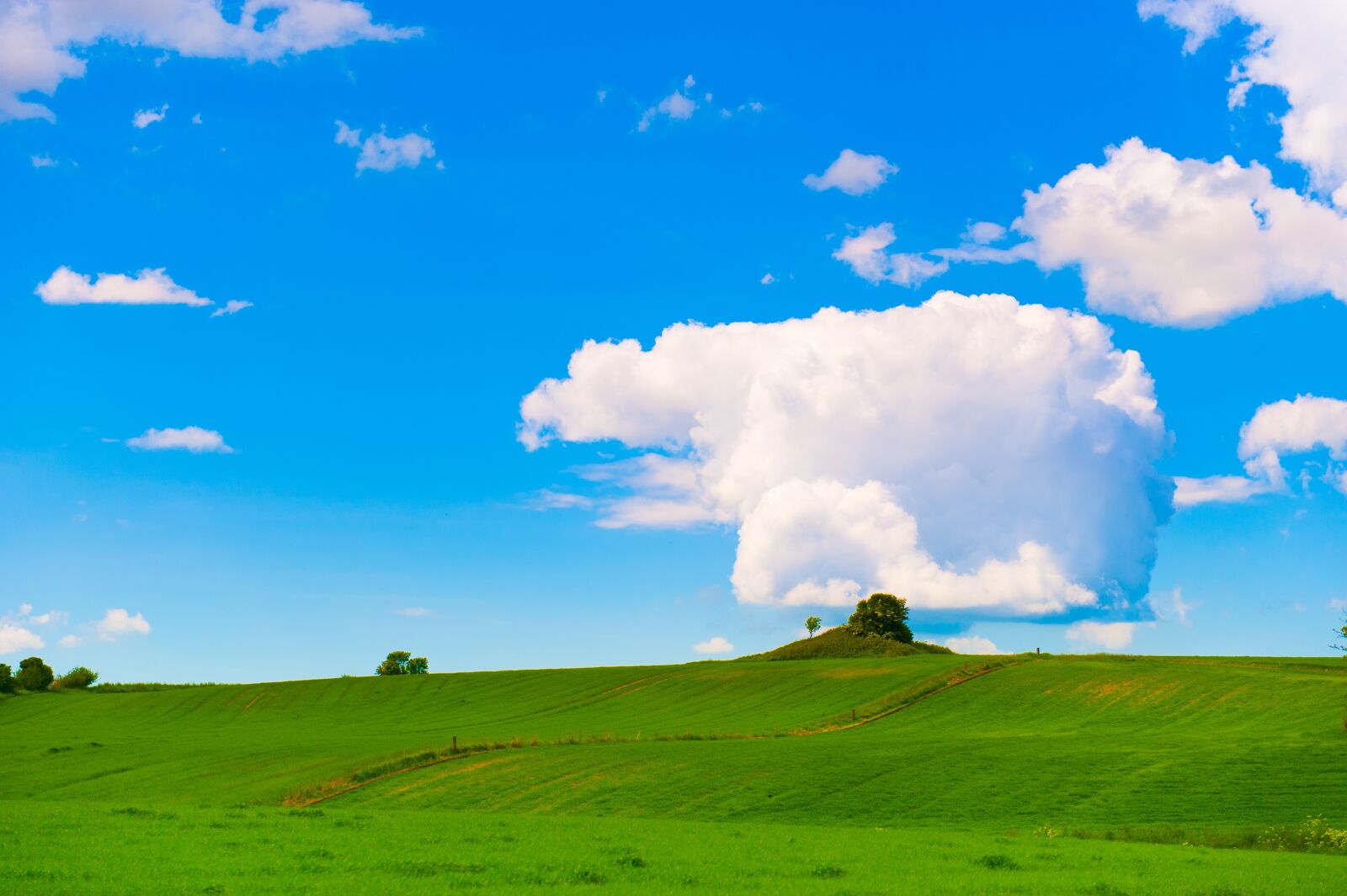 Nikon D700 sample photo. Mark, green, clouds photography