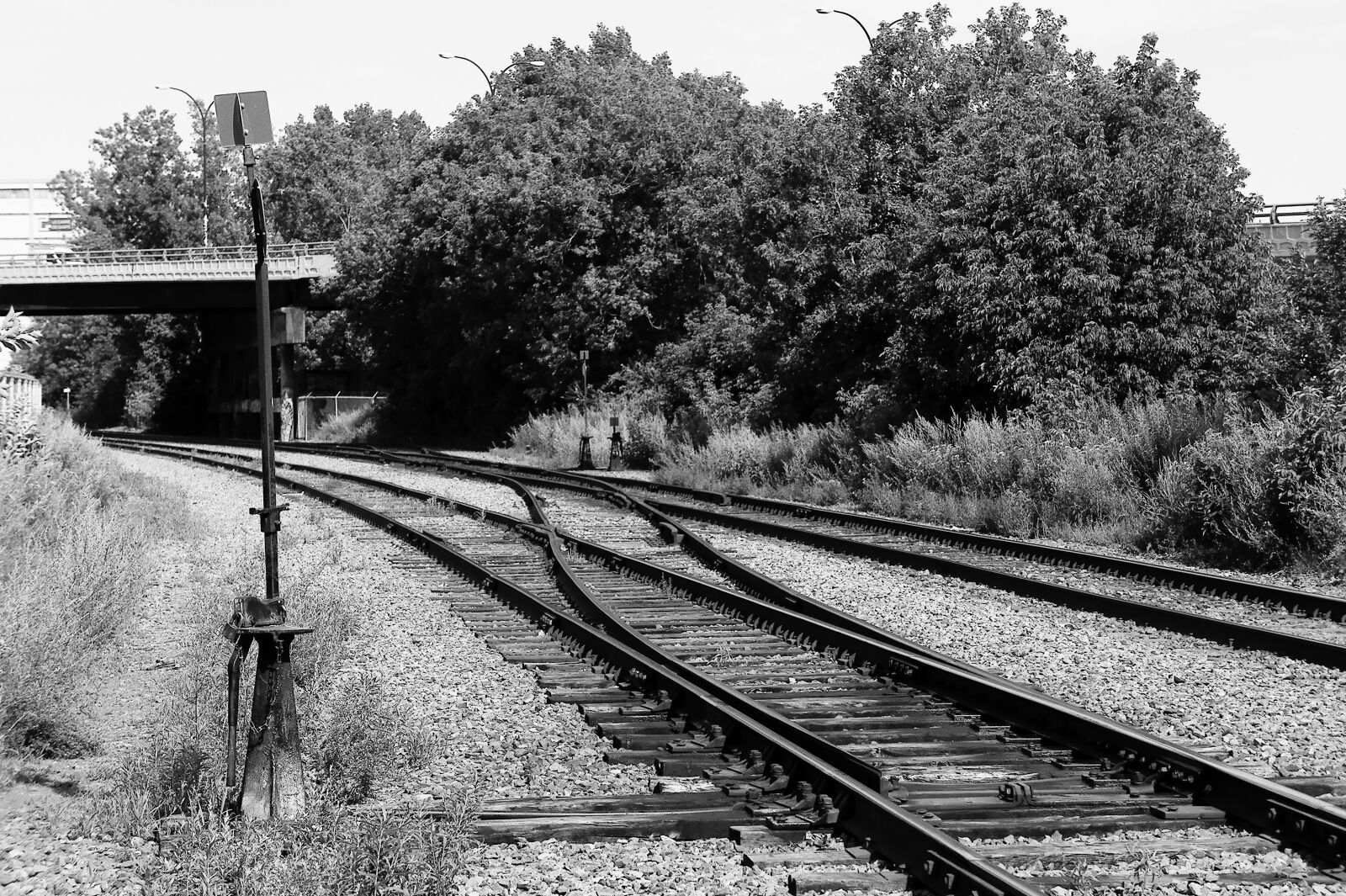 Sony Alpha NEX-3 + Sony E 18-55mm F3.5-5.6 OSS sample photo. Railway, black and white photography
