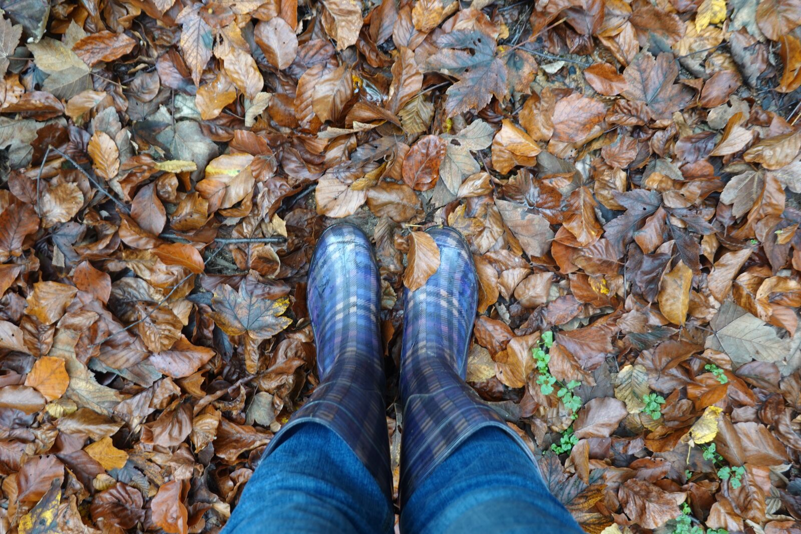 Sony Cyber-shot DSC-RX100 VI sample photo. Rubber boots, autumn, rain photography