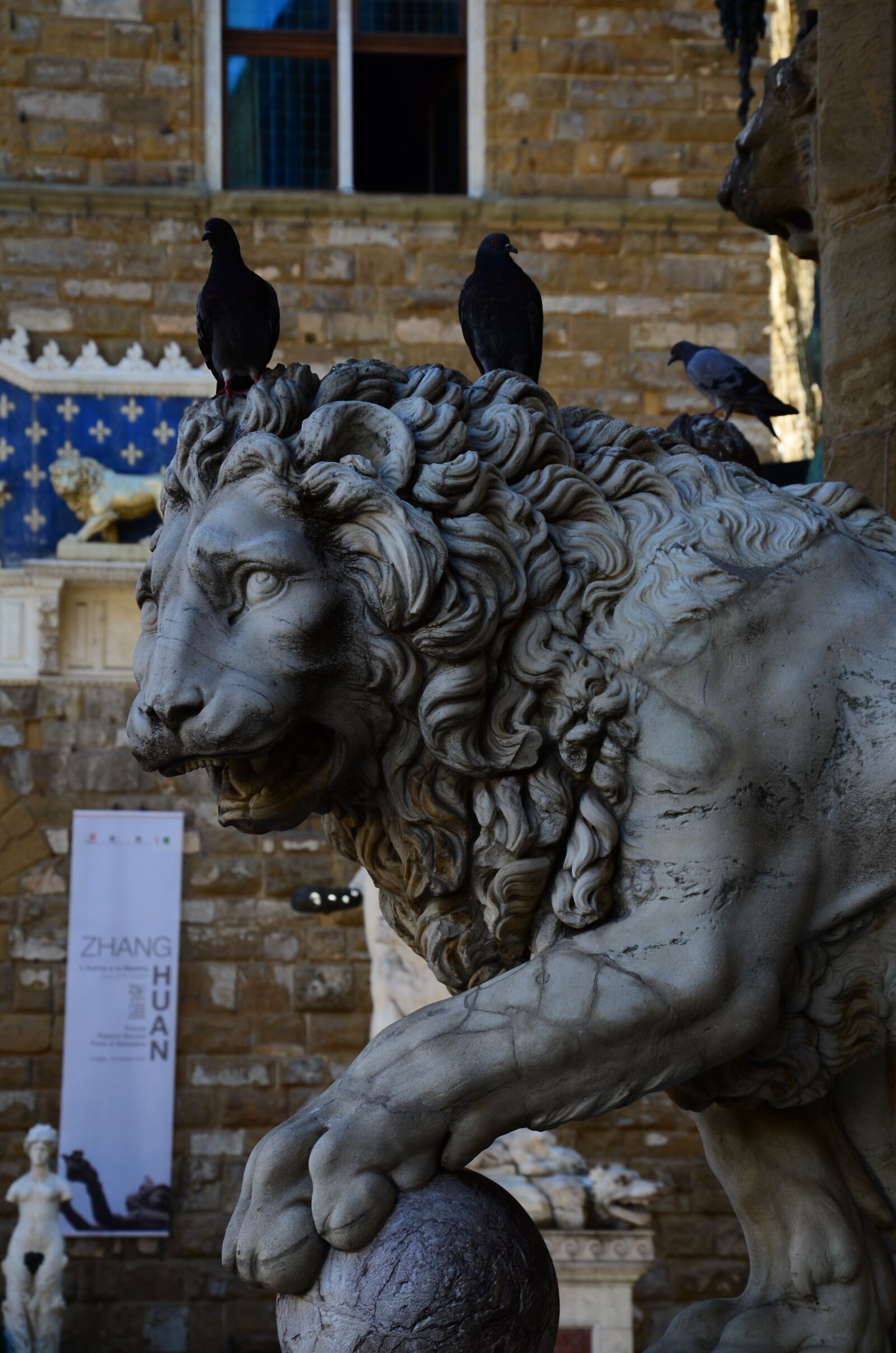 Nikon D7000 sample photo. Italy, florence, lion photography