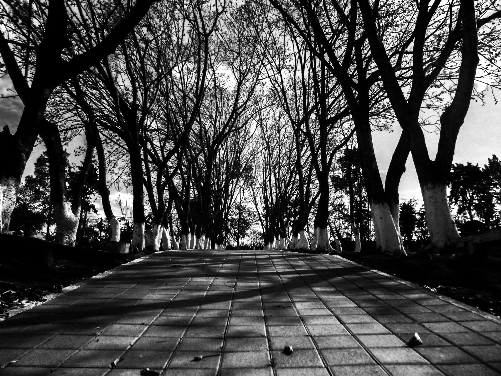 Samsung PL120,PL121 / VLUU PL120,PL121 sample photo. Street, black and white photography