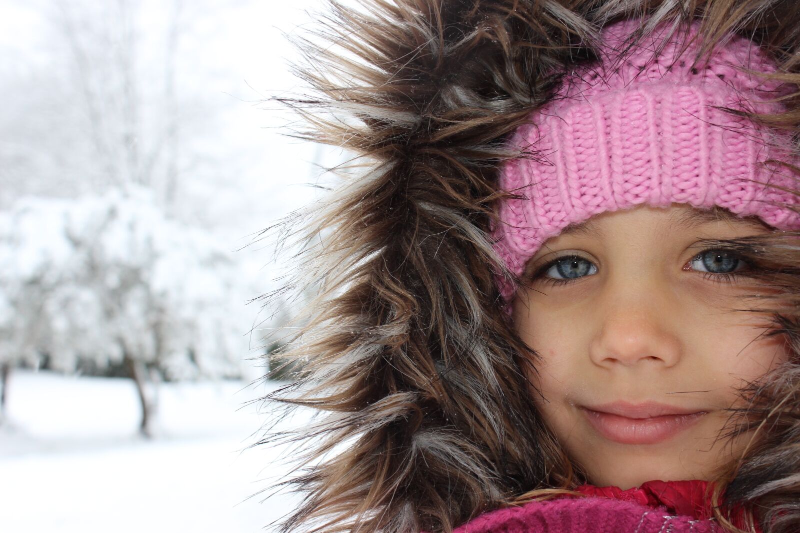 Canon EOS 600D (Rebel EOS T3i / EOS Kiss X5) sample photo. Snow, winter, cold photography