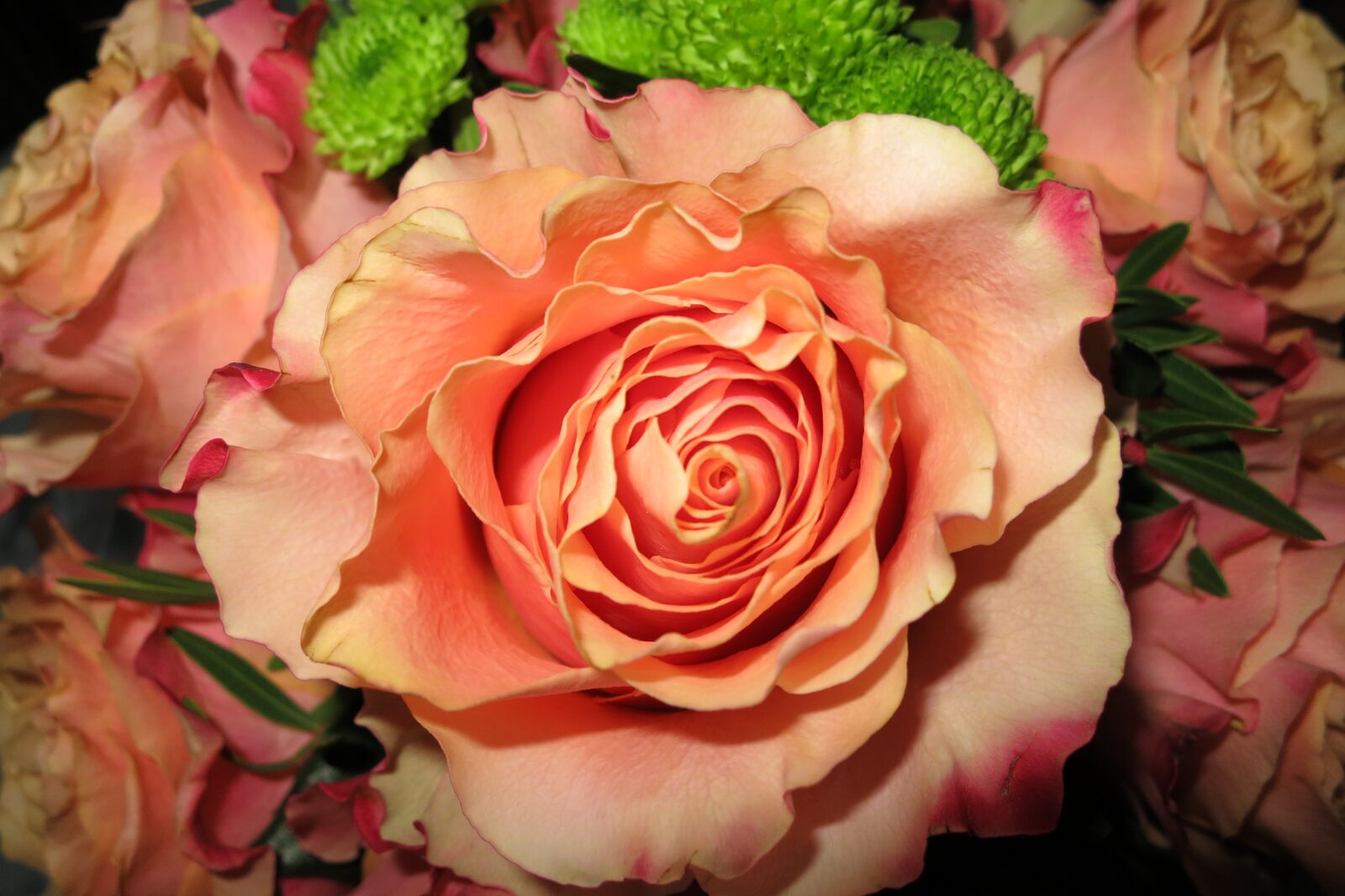 Canon PowerShot S100 sample photo. Orange rose, open flower photography