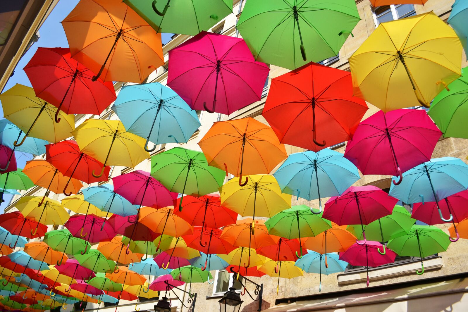 Nikon D3100 sample photo. Village royale, umbrellas, colourful photography