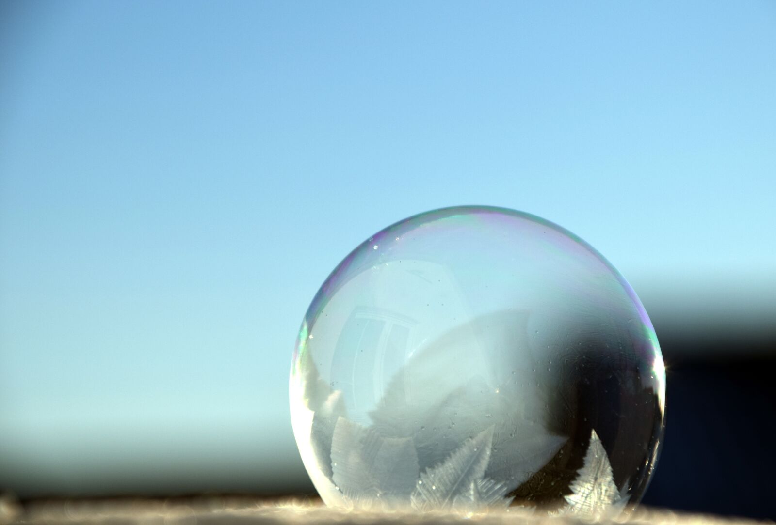 Nikon D3300 sample photo. Bubble, soap bubble, iridescent photography