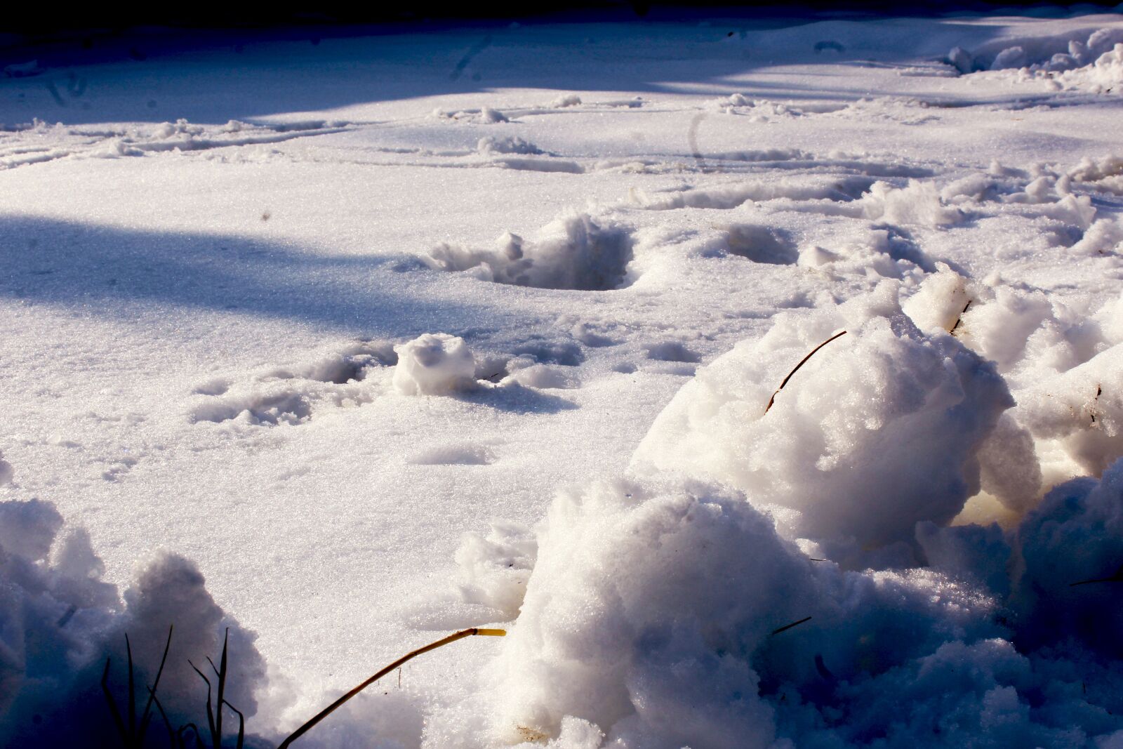 Canon EOS 1200D (EOS Rebel T5 / EOS Kiss X70 / EOS Hi) sample photo. Snow, blue, landscape photography