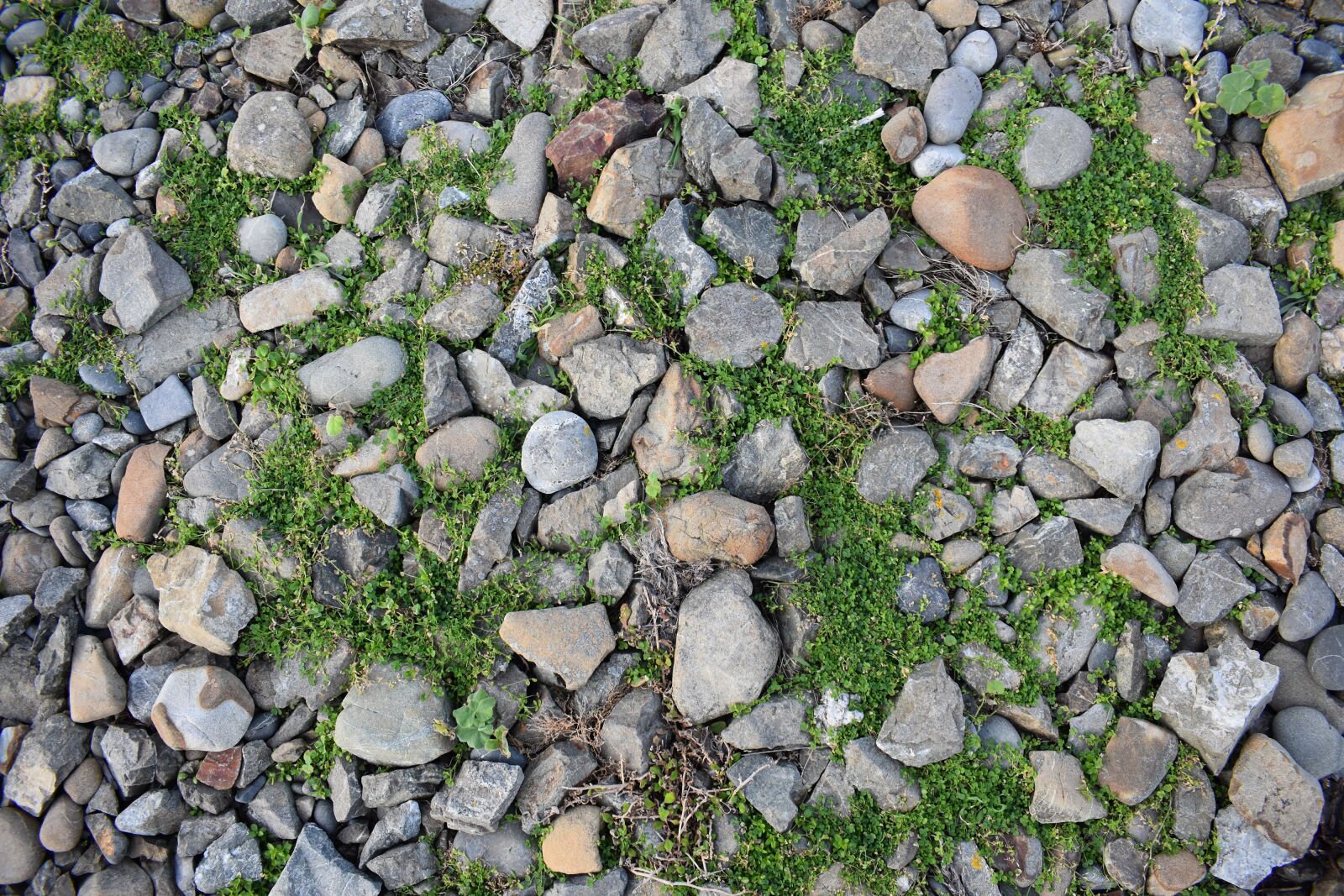Nikon D3400 sample photo. Rocks, beach, surface photography