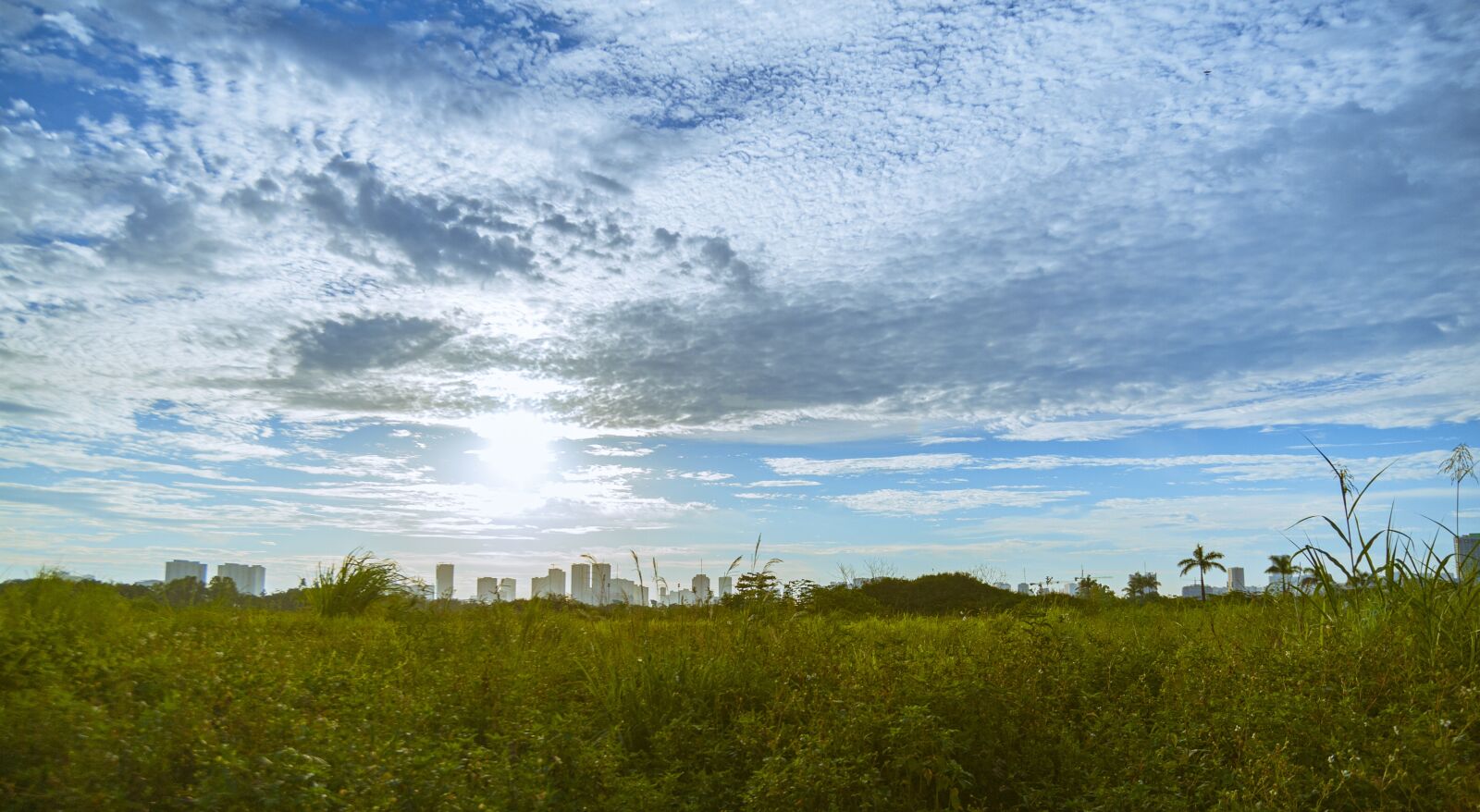 Nikon D700 sample photo. Green, cloud, landscape photography