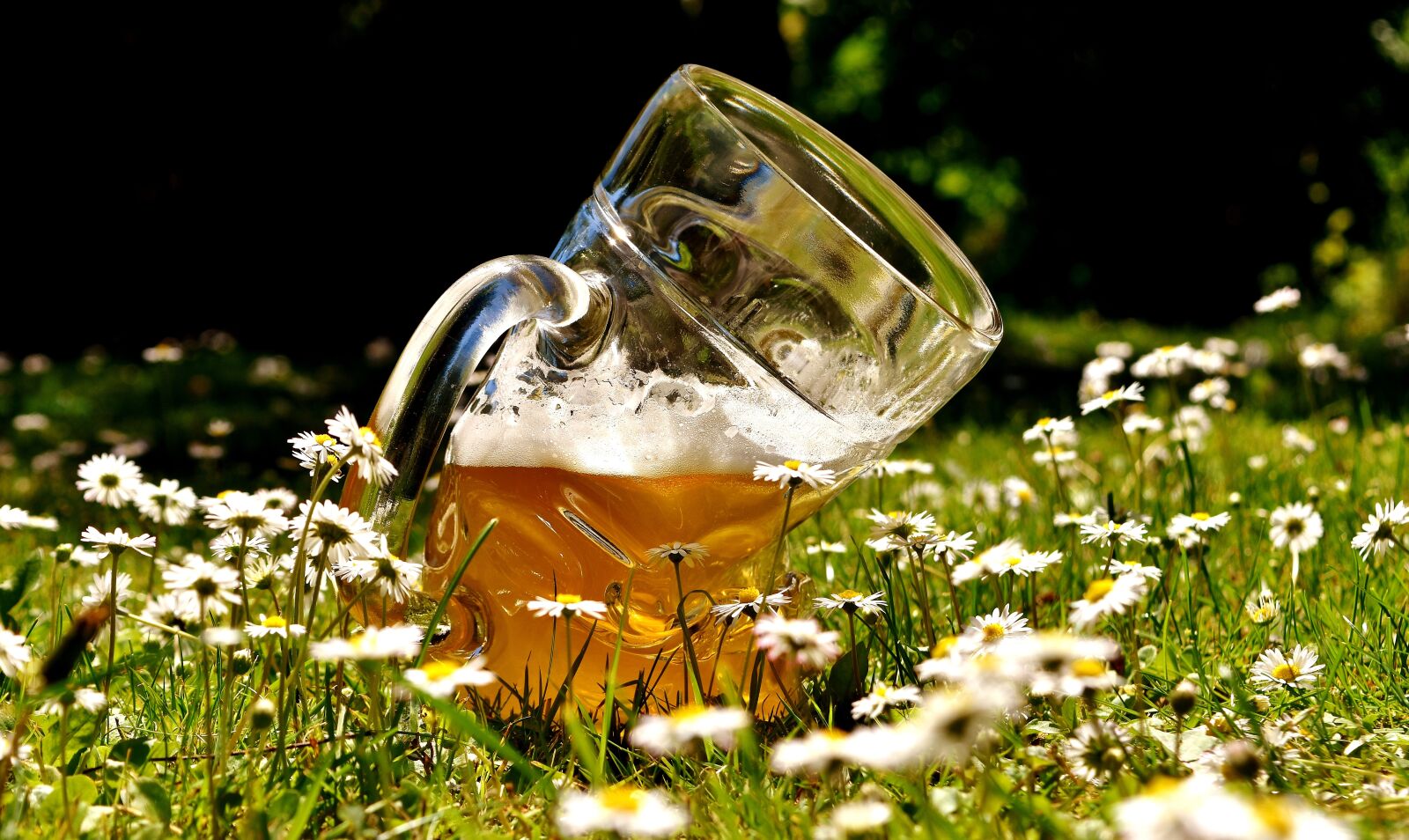 Nikon D7200 sample photo. Beer, beer glass, deformed photography