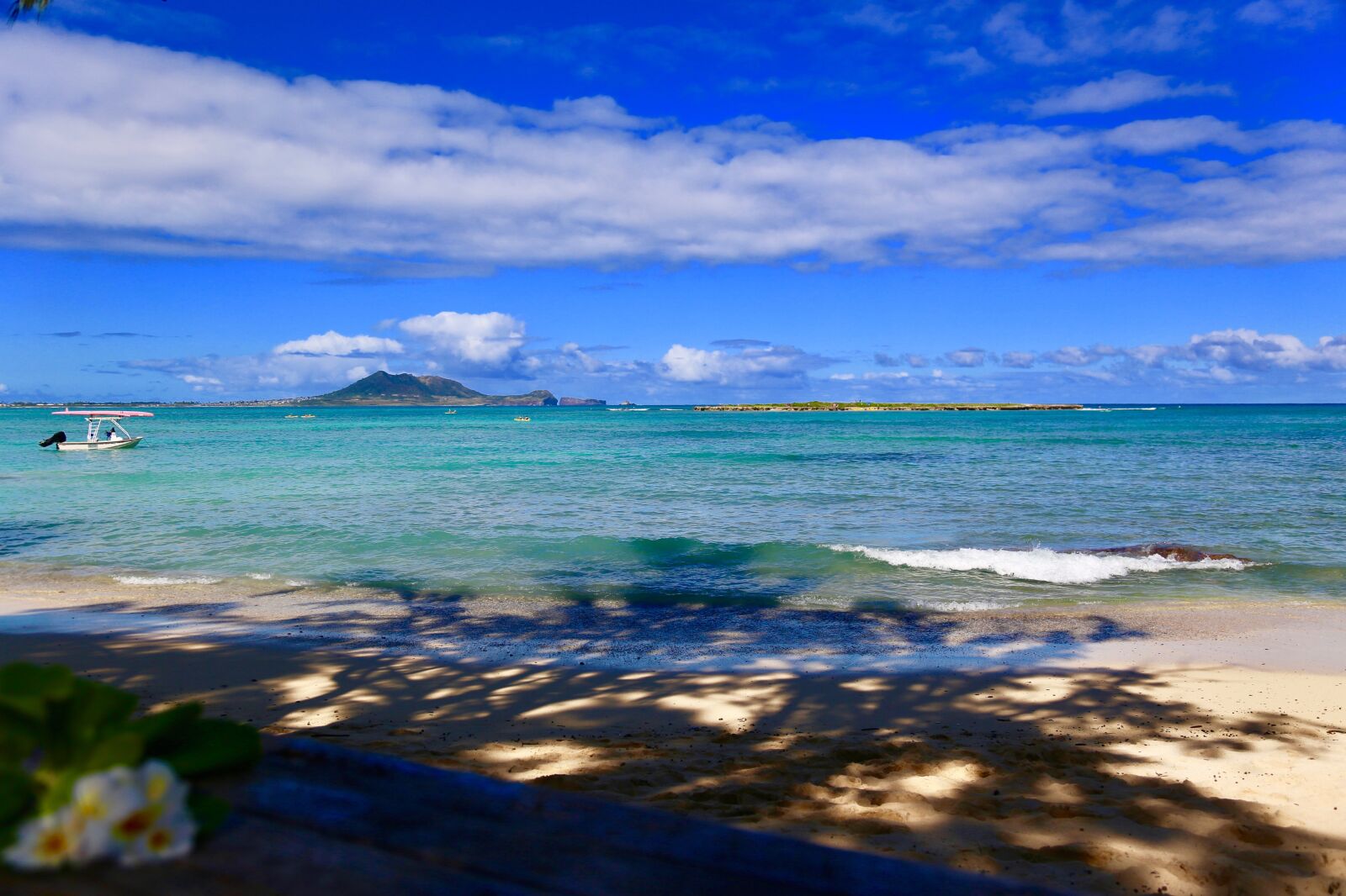 Canon EOS 6D + Canon EF 24-105mm F4L IS USM sample photo. Hawaii, beach, summer photography