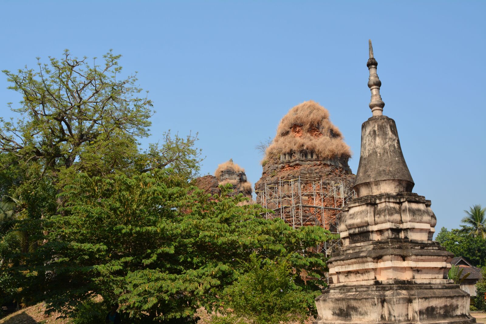 Nikon D7100 sample photo